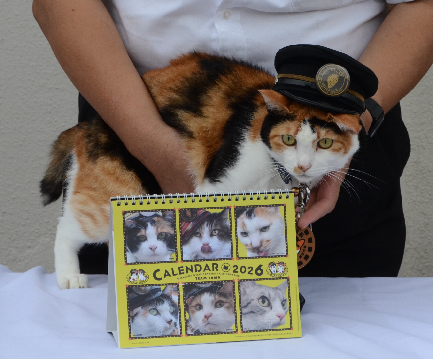 初代 駅長たま 卓上カレンダー兼ポストカード2009年2010年 歴代ネコ駅長が登場 和歌山電鉄、来年版の卓上カレンダー販売開始