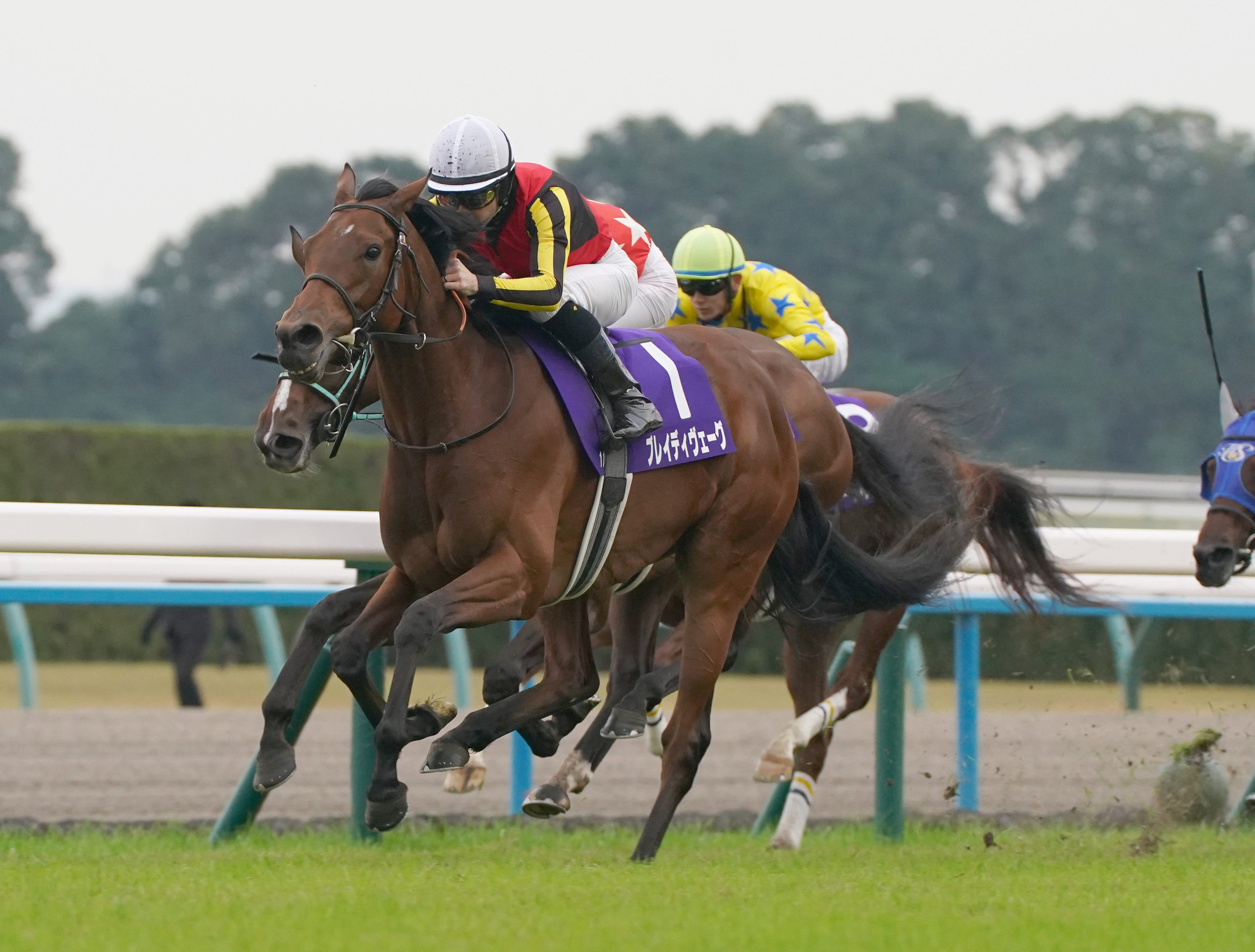 ブレイディヴェーグがジャックルマロワ賞に登録 今週の安田記念に出走