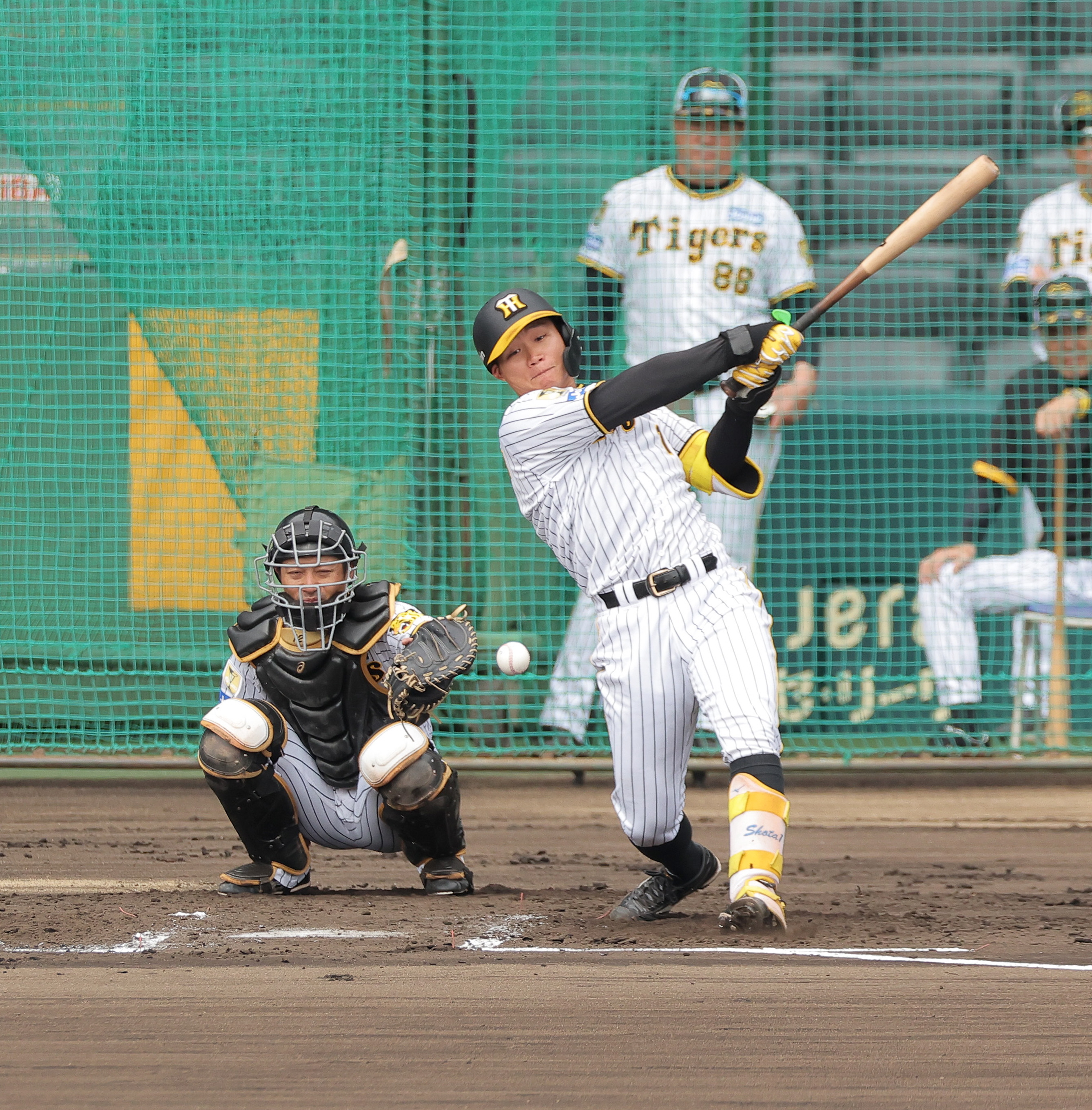 ヤクルトスワローズ石井左グローブ ヤクルトスワローズ石井左グローブ ヤクルトスワローズ石井左