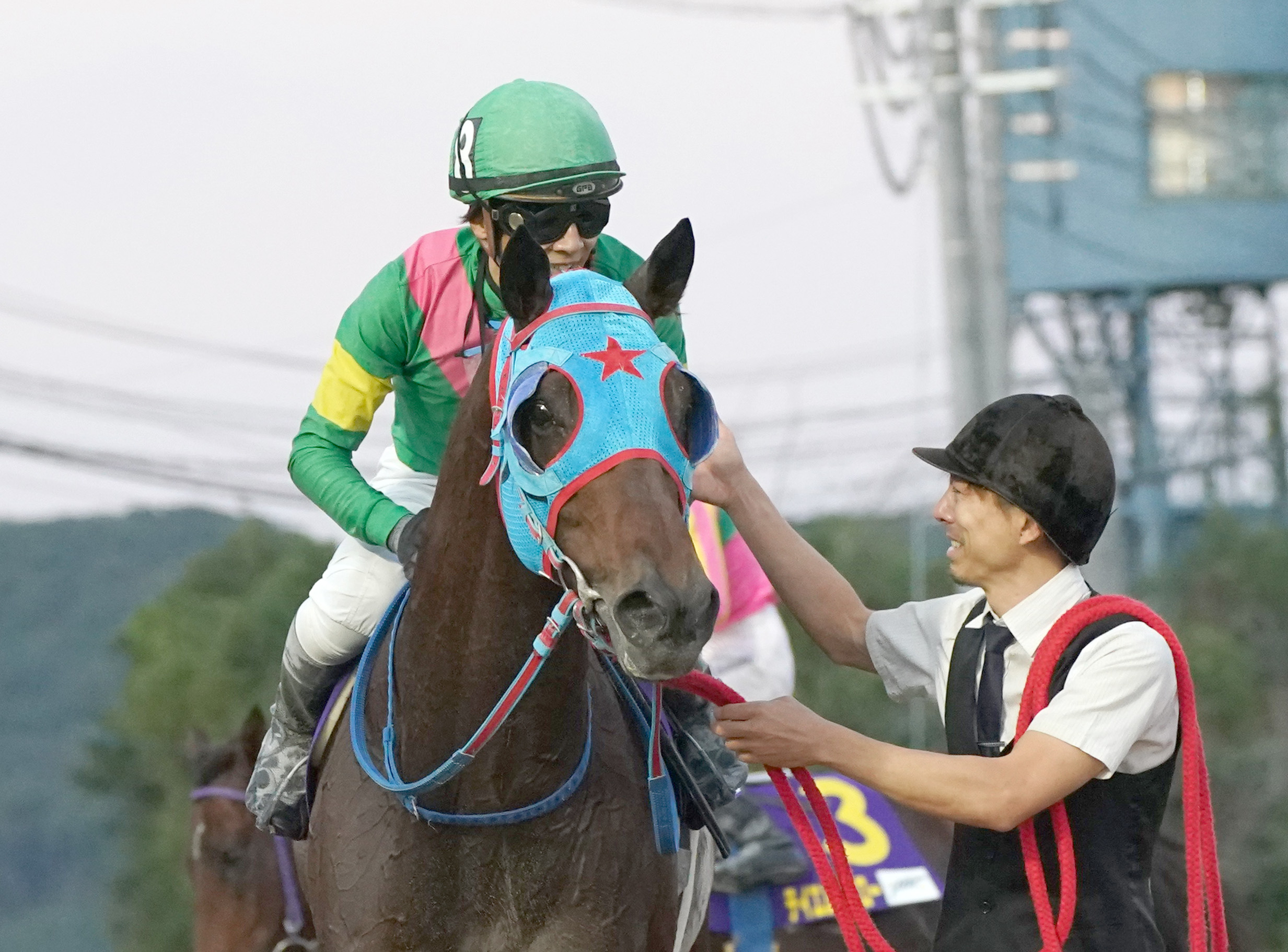 JBCスプリント優勝タガノビューティーが競走馬登録抹消 今後は種