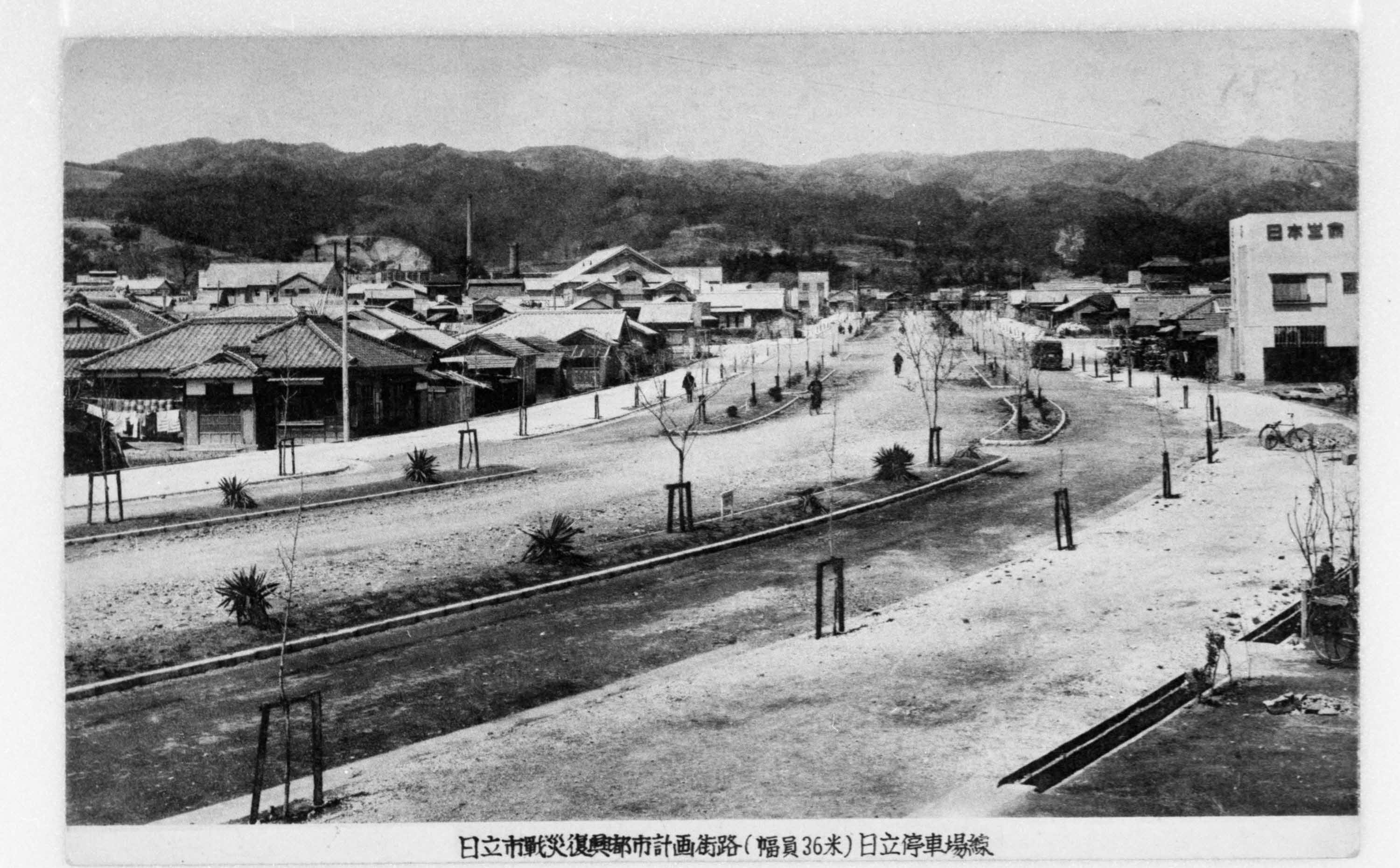 日本の変遷(昭和29年発行) 桜咲き誇る茨城県日立市の平和通り 空襲や艦砲射撃など3度の戦災から