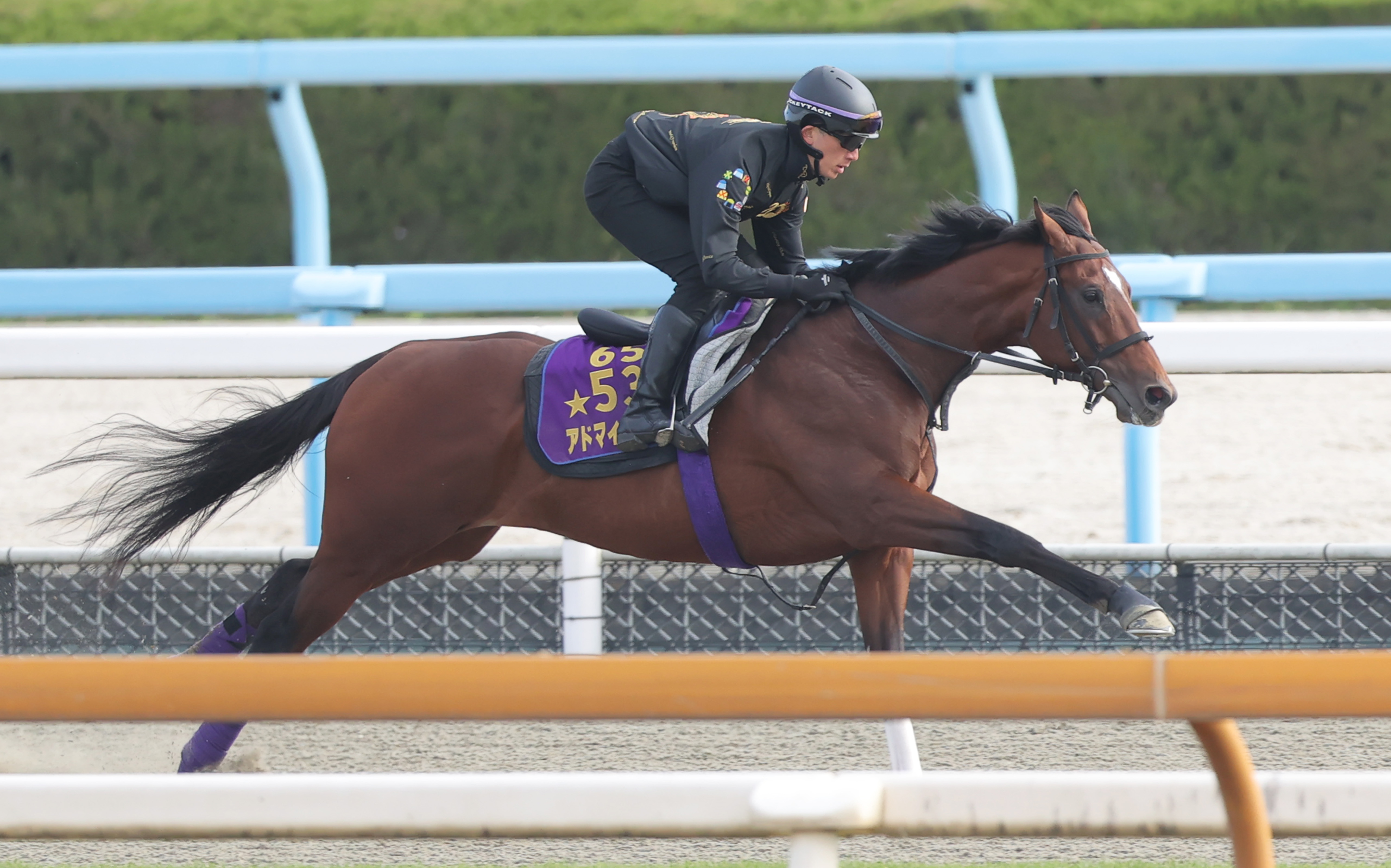 マイラーズC 追い切り】アドマイヤズームがポリトラックコースで復調