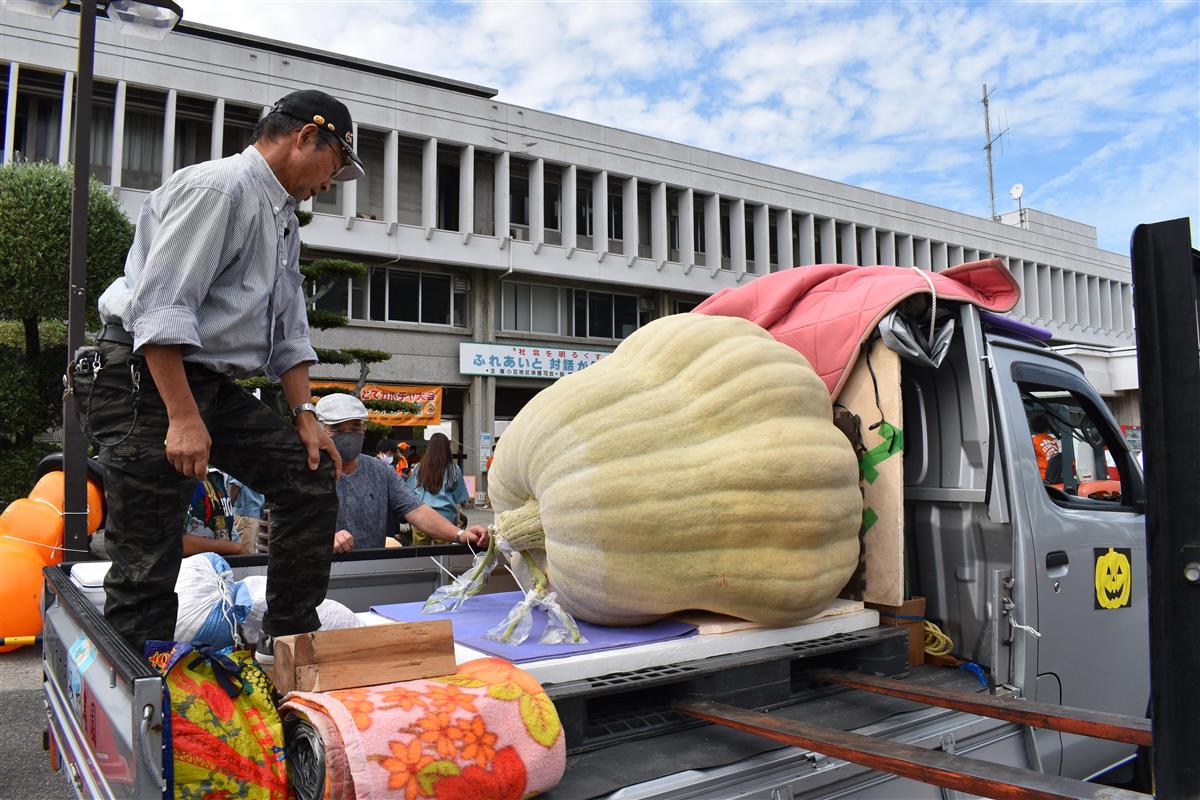 ハロウィン前に巨大カボチャが集まる島 1 2ページ 産経ニュース