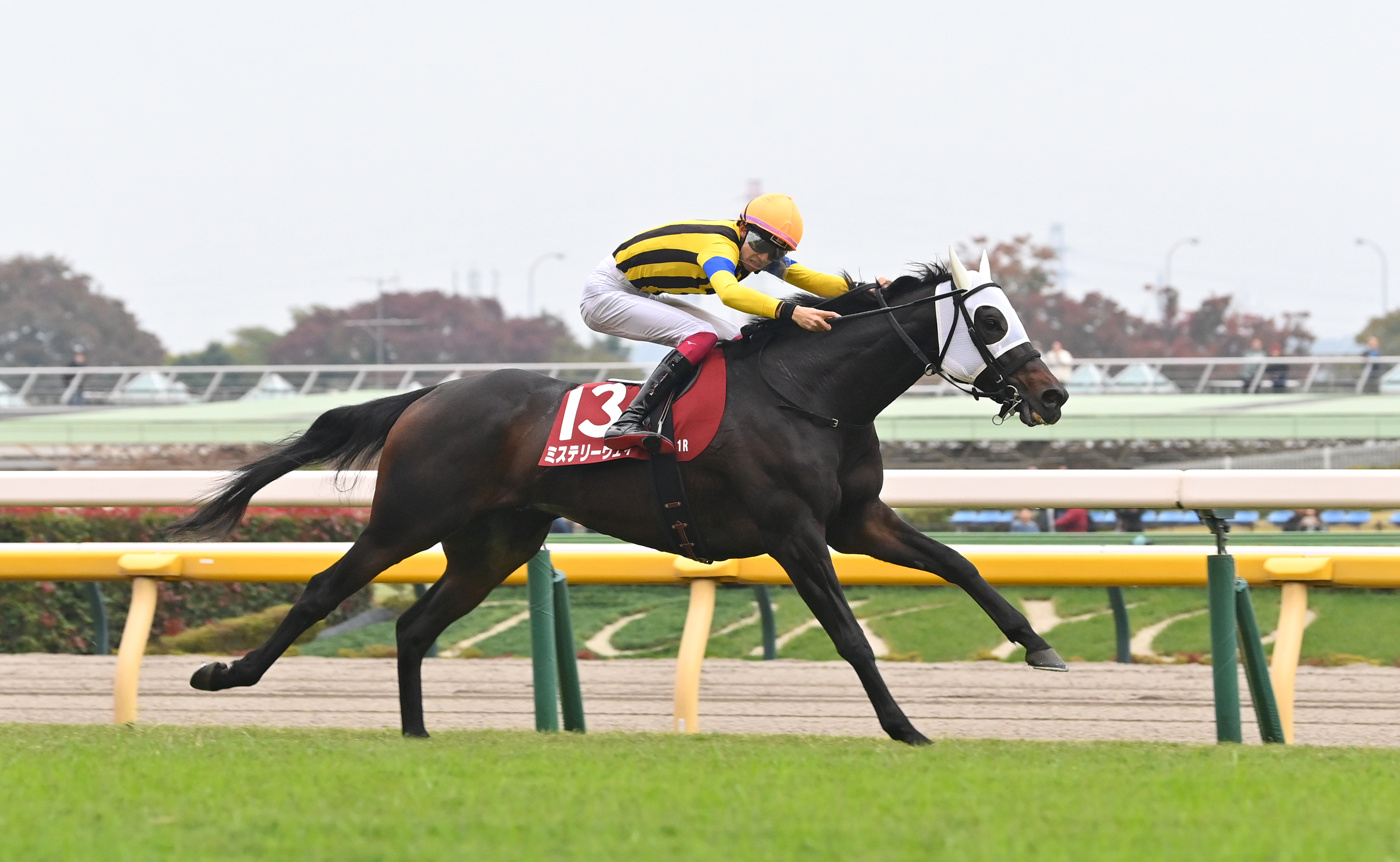 3歳以上次走報】ミステリーウェイは松本大輝騎手で有馬記念へ