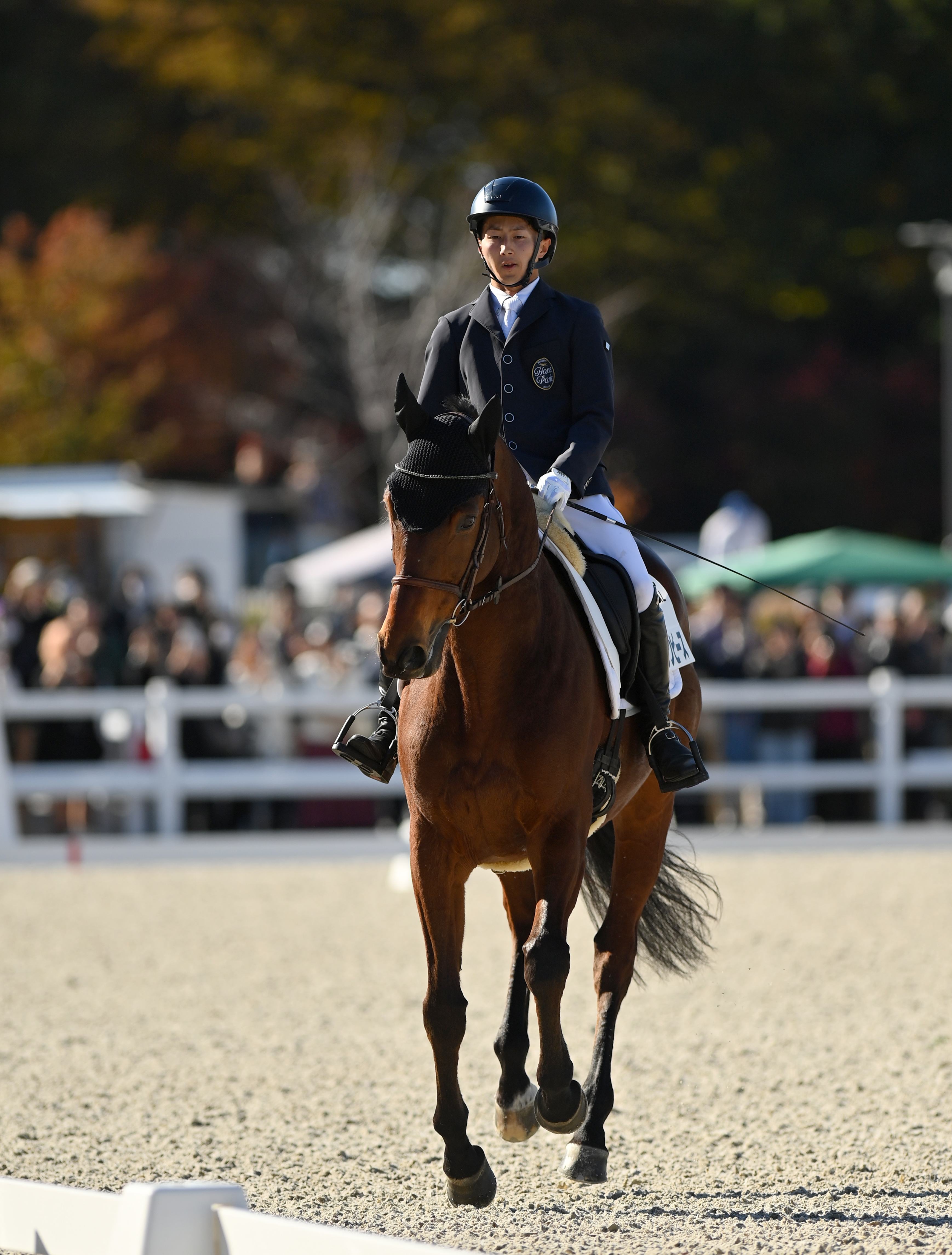 RRCファイナル】〝初老ジャパン〟メンバーは優勝ならず 総合馬術で田中