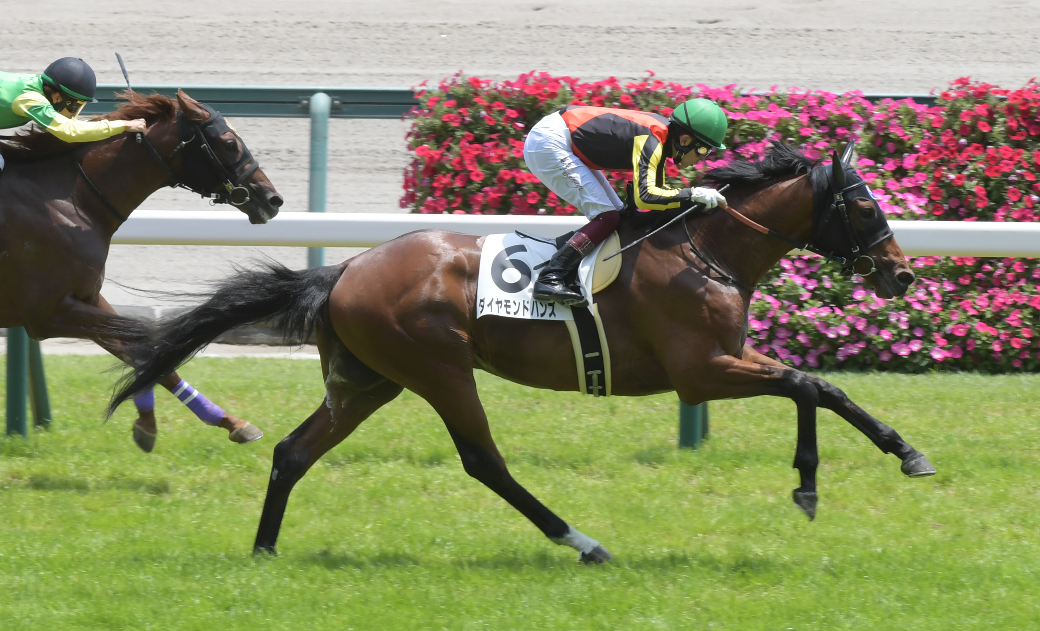 2歳新馬・中京5R】ダイヤモンドハンズ快勝！ 新種牡馬サトノ