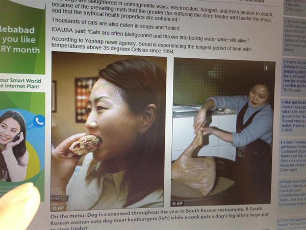エンタメよもやま話 虐殺した子犬の肉ほおばる韓国美女 違法も政府は黙認 ２０００億円市場 残虐食文化めぐる世界の動き ２ 1 4ページ 産経ニュース