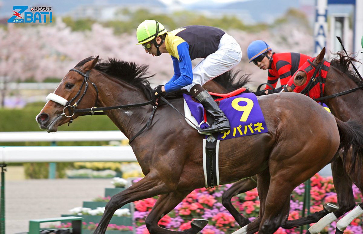 【アパパネ】全G I的中馬券セット(牝馬三冠馬券含む／全現地馬券) ZBAT写真館】アパパネ - サンスポZBAT!
