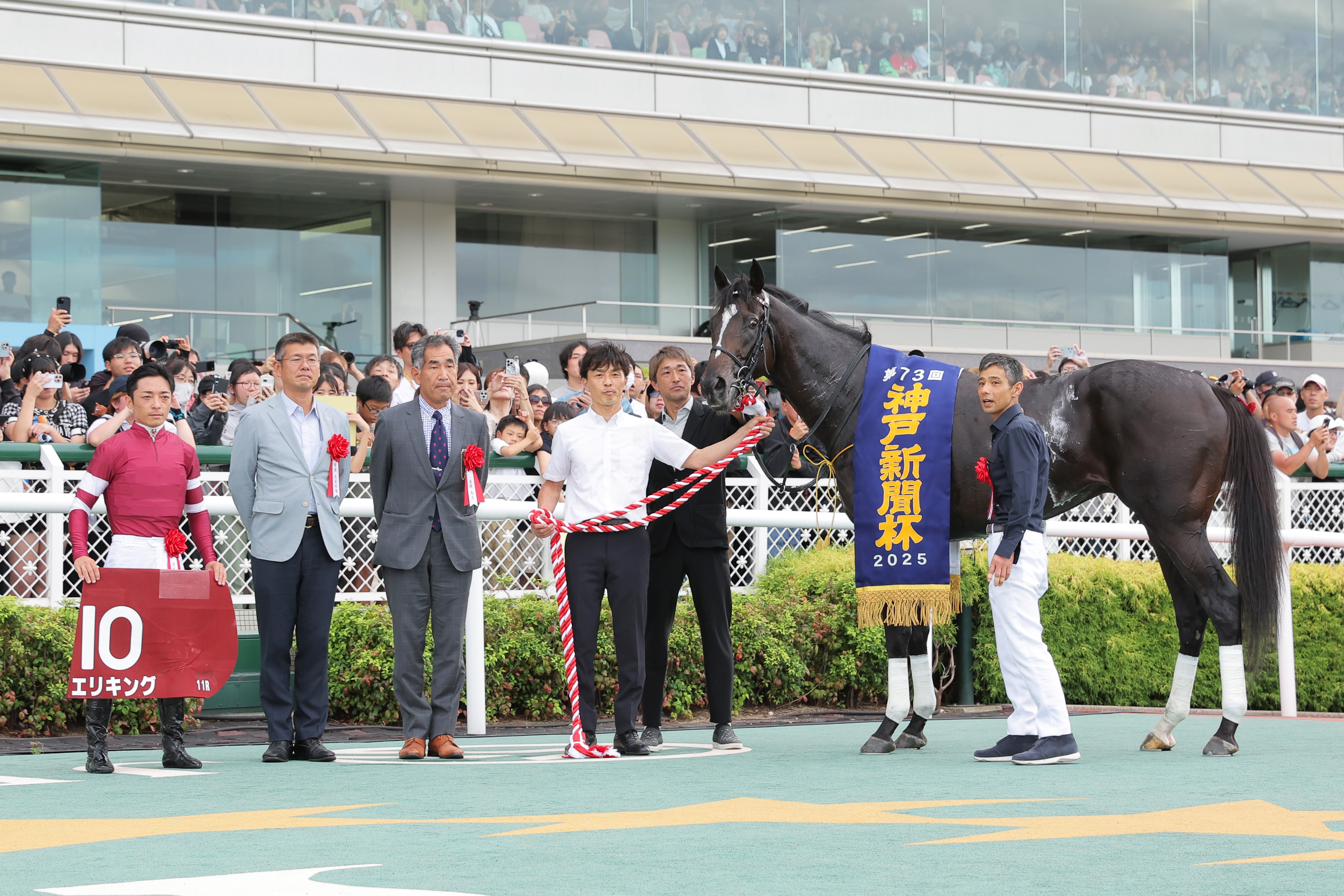 神戸新聞杯】エリキングが豪快差し切り！ 春の雪辱果たし逆襲の