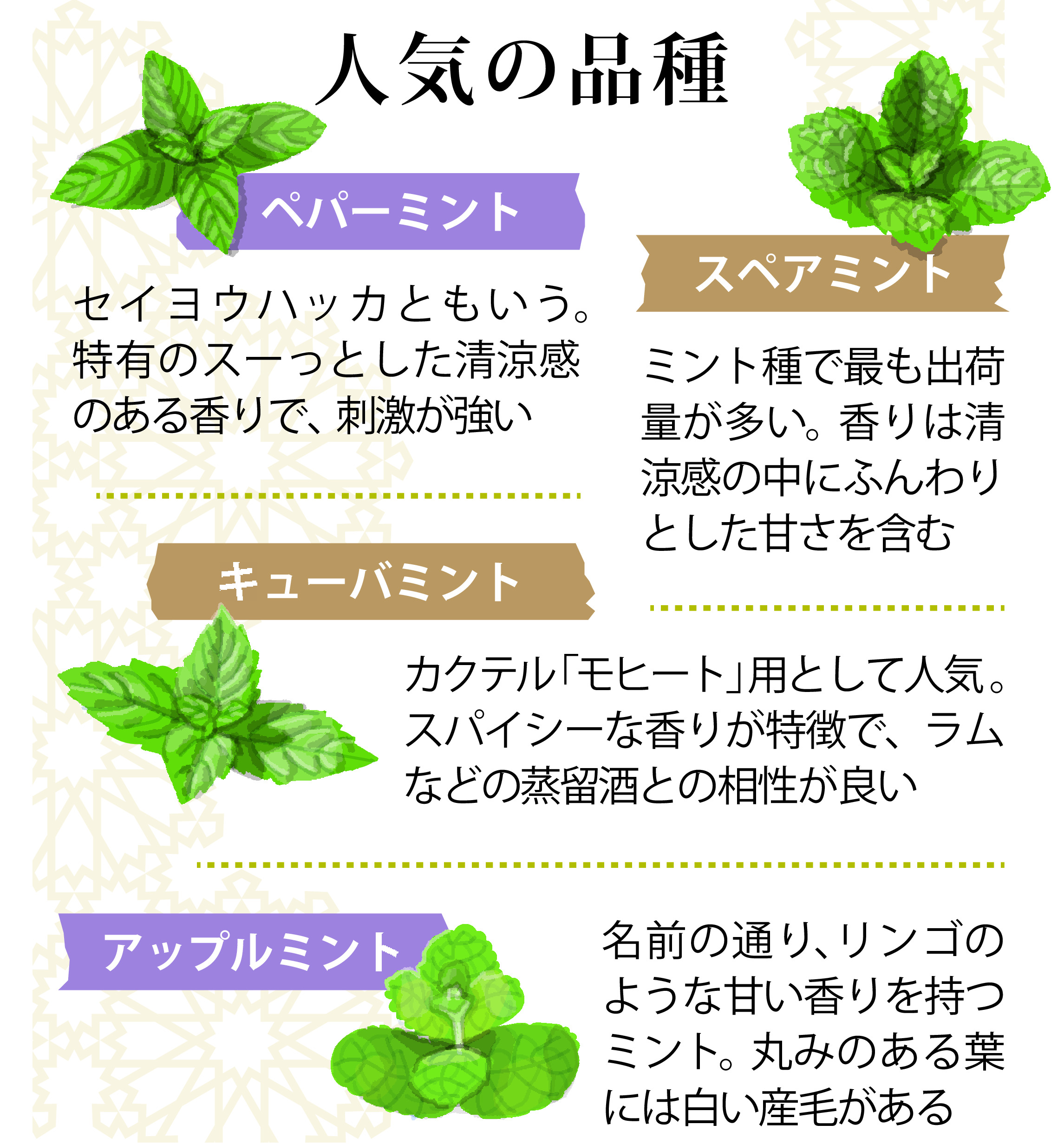誰でも育てやすい「ミント」で爽やかなジュースをつくろう ハーブと 