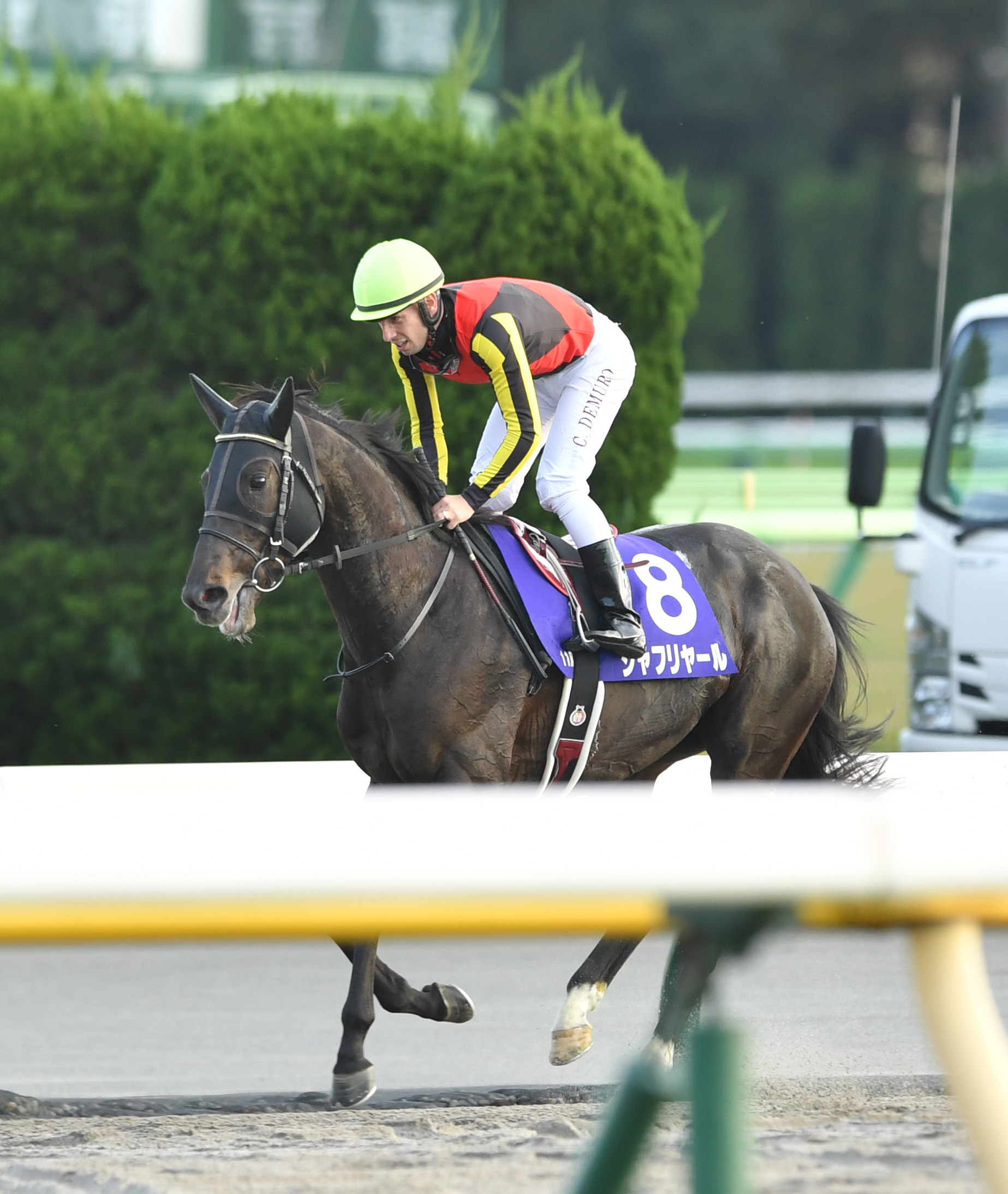 天皇賞 秋 １１カ月ぶり国内戦のシャフリヤールは５着 ｃデムーロ 次は良くなりそう サンスポzbat