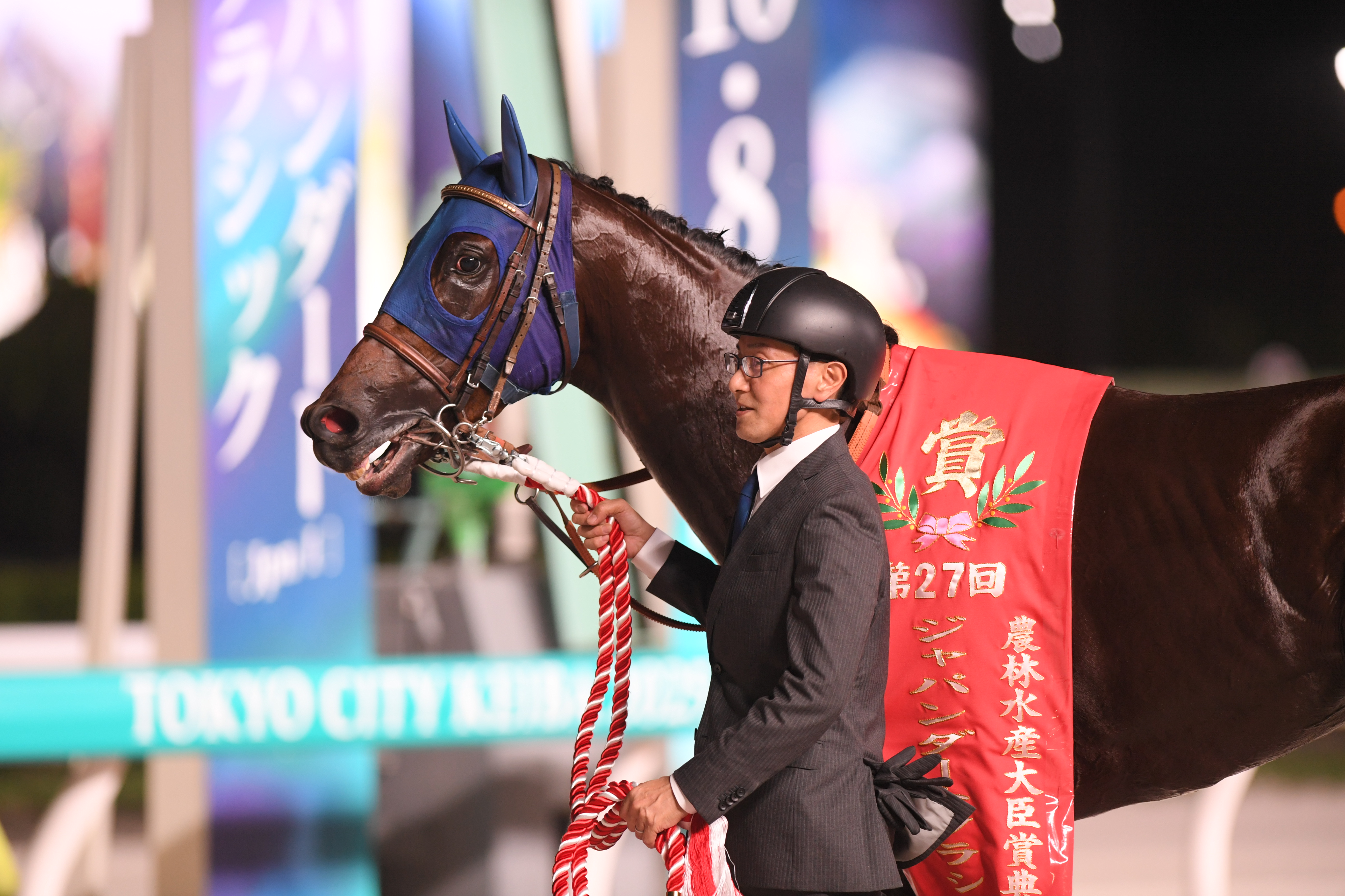 合う馬 中京競馬・チャンピオンズC】ダート界の新王者へナルカミが突き進む