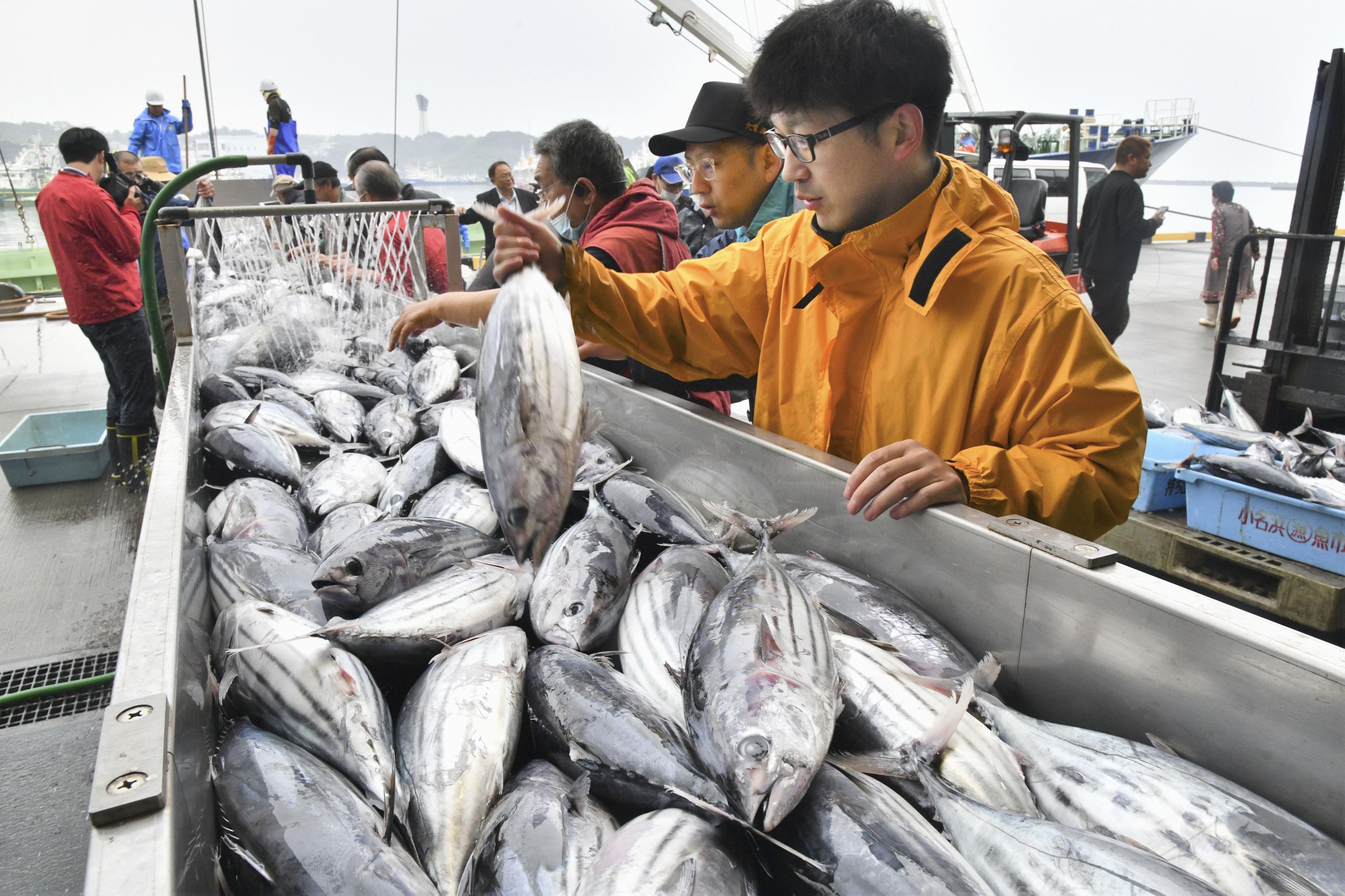 いわきでカツオ初水揚げ 中型中心の100トン - 産経ニュース