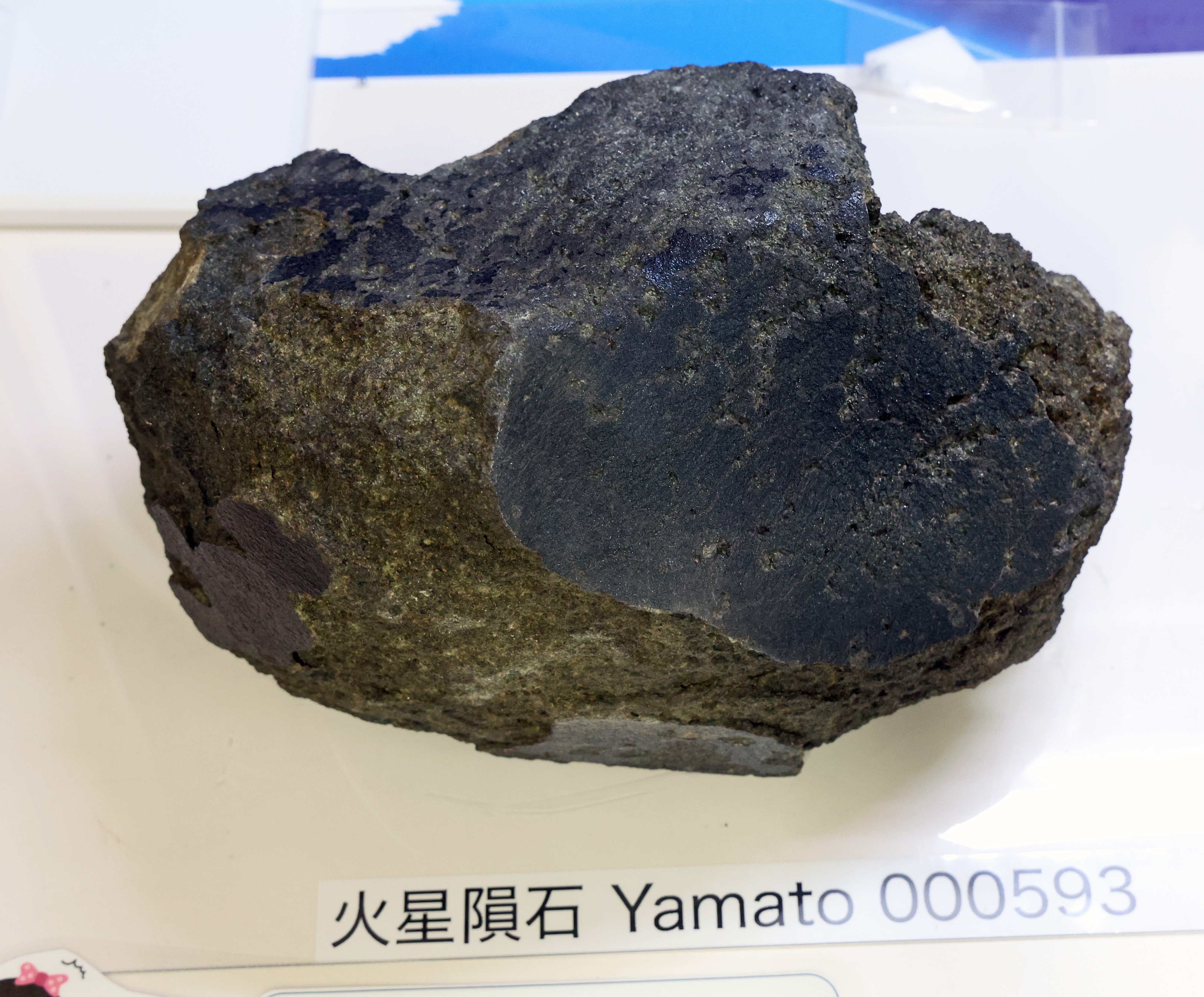 2024 目撃石隕石 火星からの隕石 約0.725KG隕石 石隕石 メテオライト