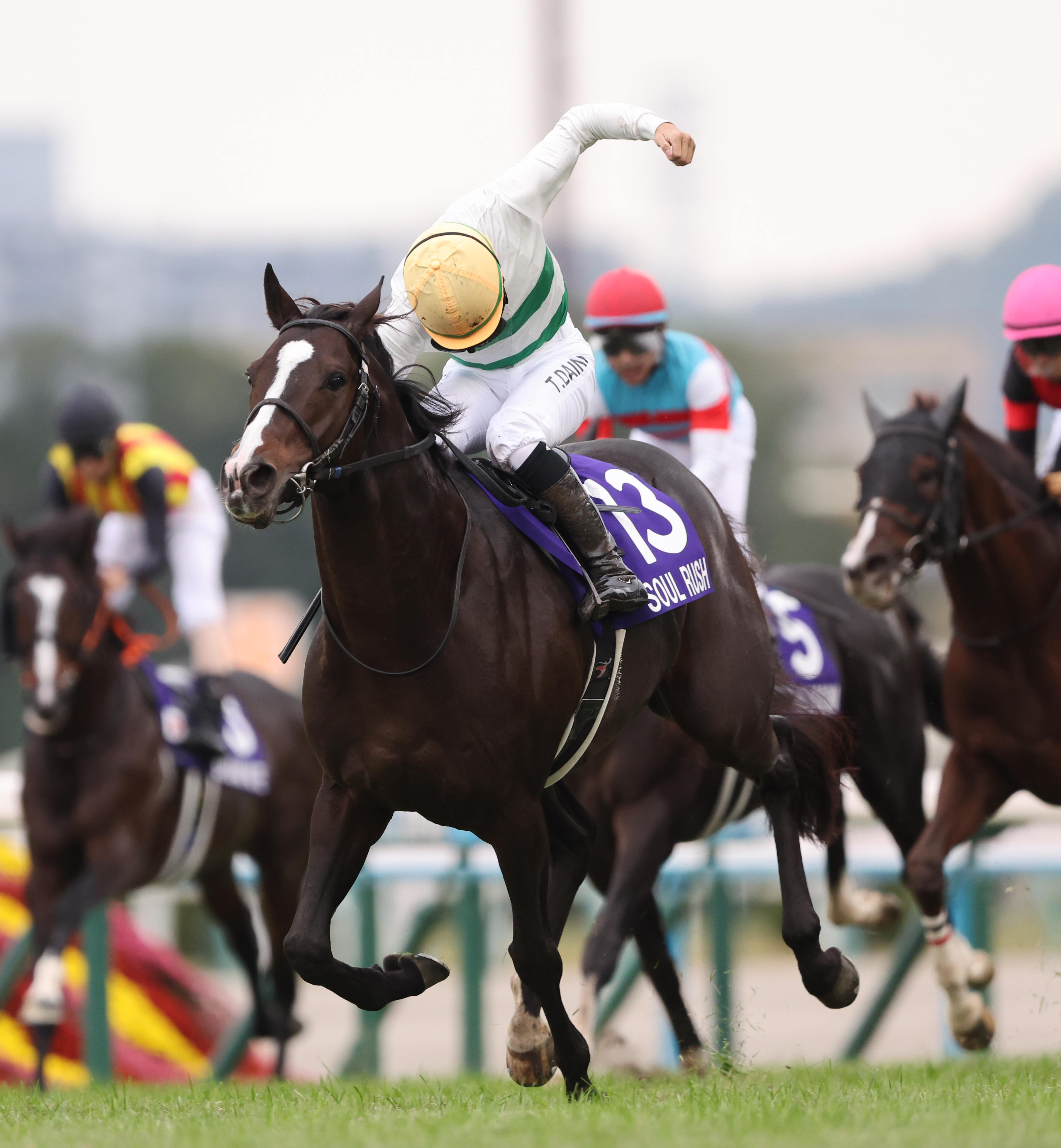 安田記念 枠順確定】春のマイル王に輝くのは？ ソウルラッシュは