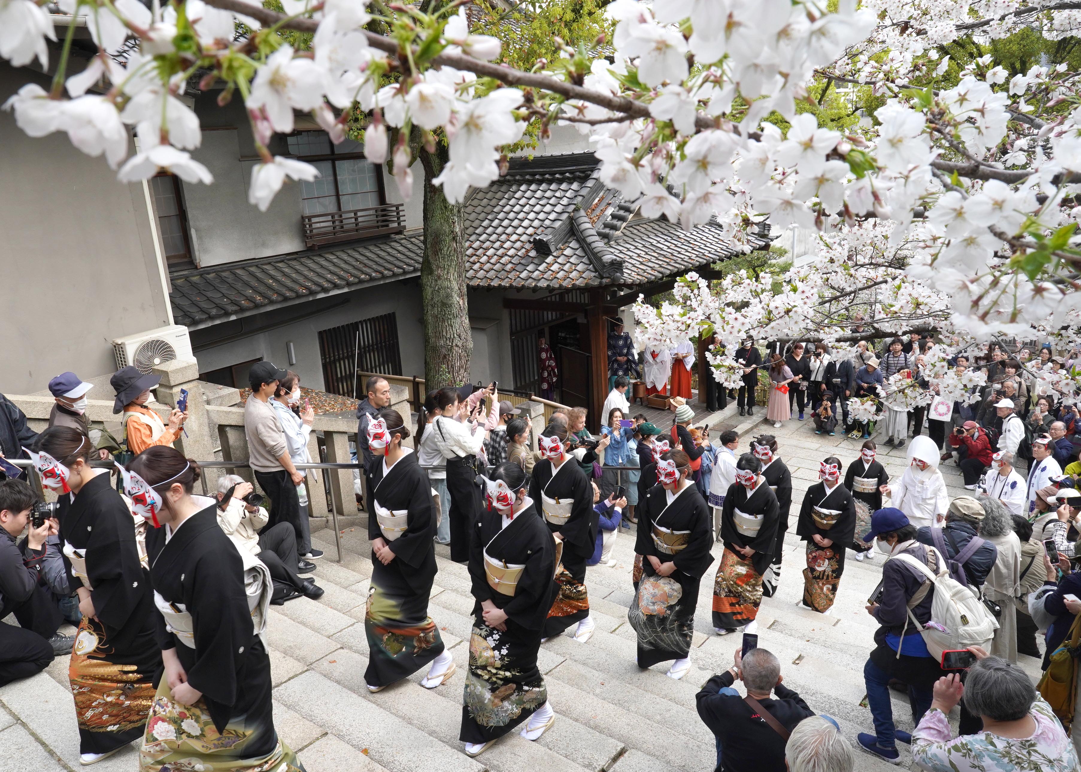 大阪・高津宮で「狐の嫁入り行列」 満開の桜の下で観客を魅了 - 産経
