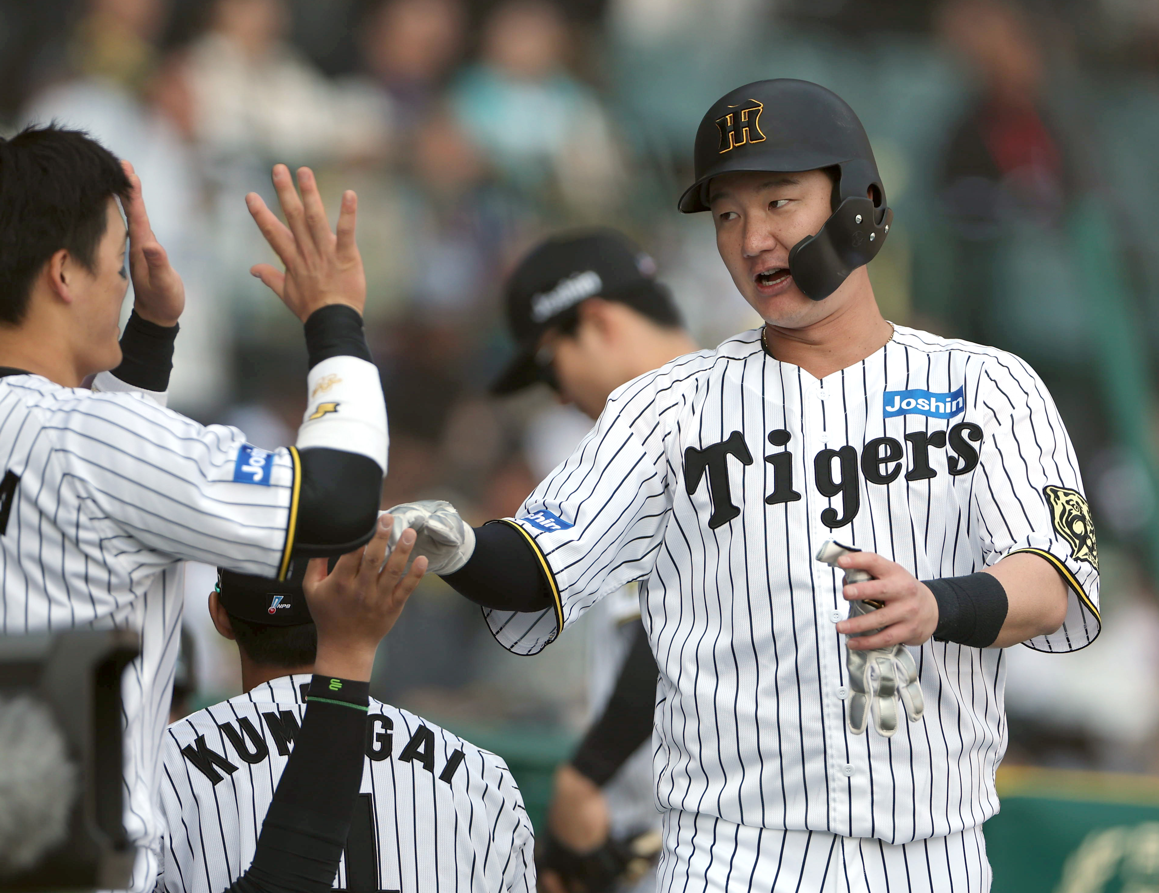 ５月２５日阪神タイガースイチオシ缶バッチ渡辺諒選手。１５個 5HUFGYI2TZOLZKWAEKWNDCFMN4.jpg