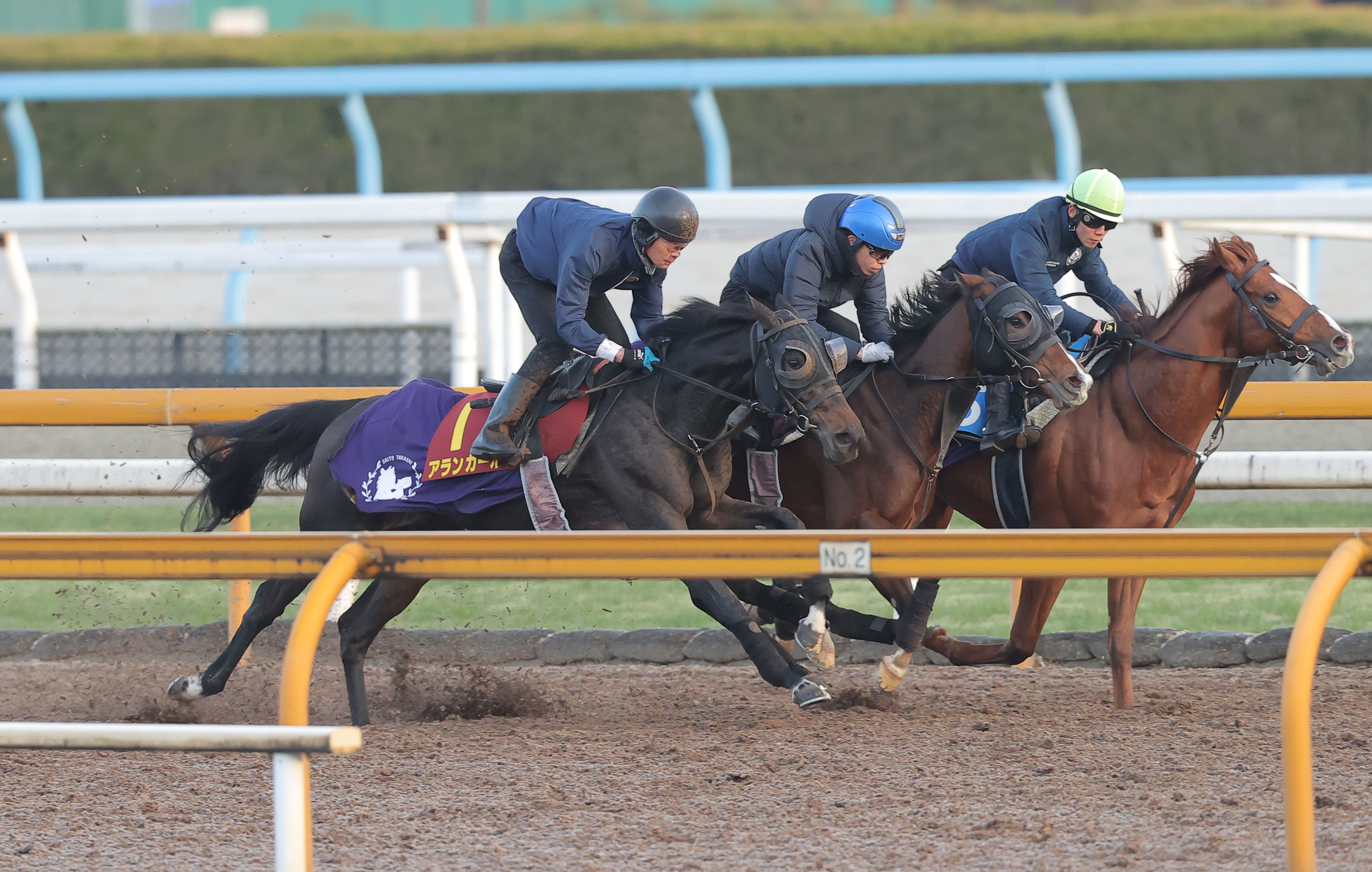 阪神JF 追い切り】アランカール無敗戴冠へ順調 3頭併せでラスト11秒8