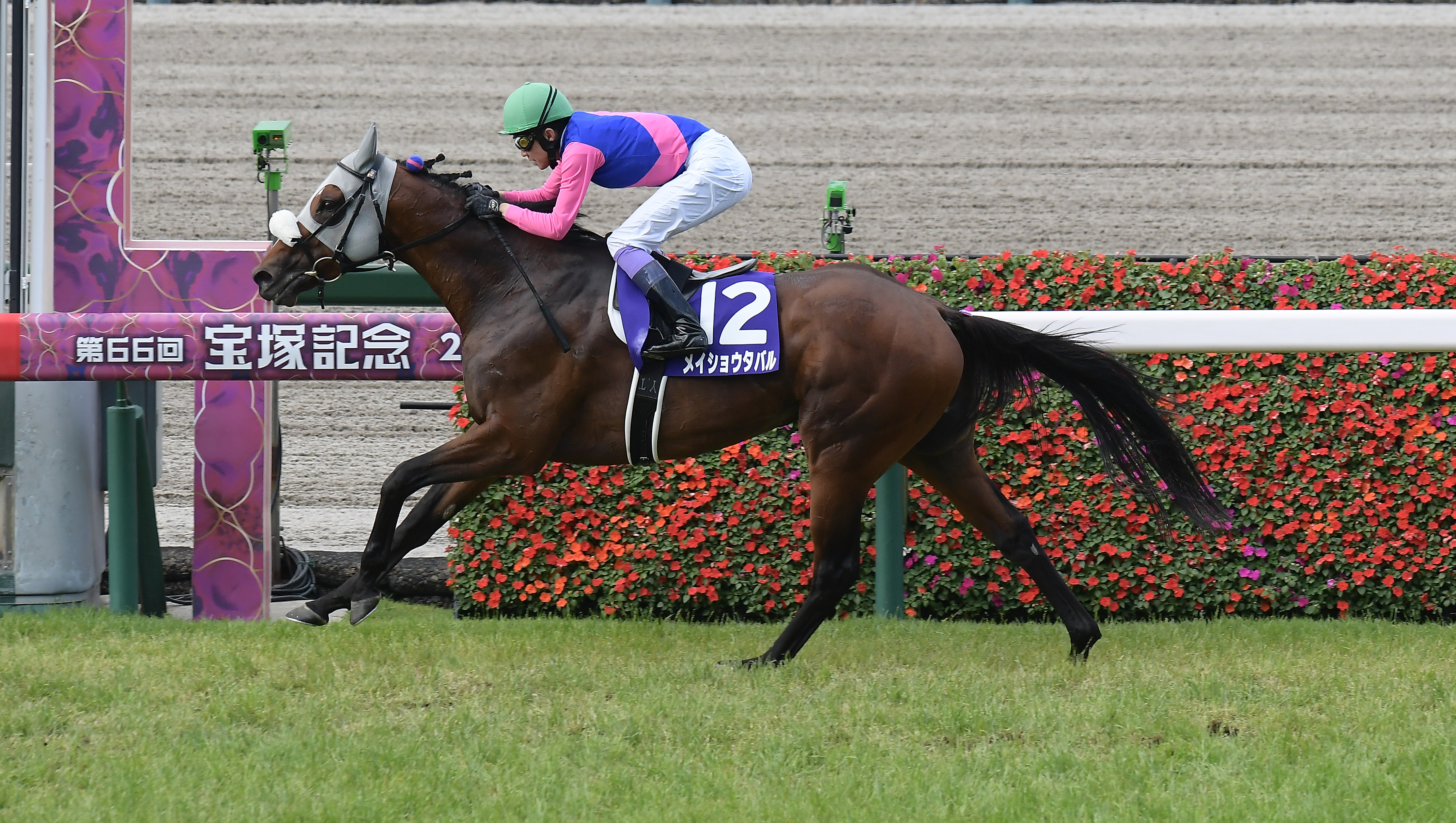 さるきち様 オーダー7枚 メイショウタバル追加 メイショウタバルが優勝 競馬の宝塚記念、武豊騎乗で7番人気G1初