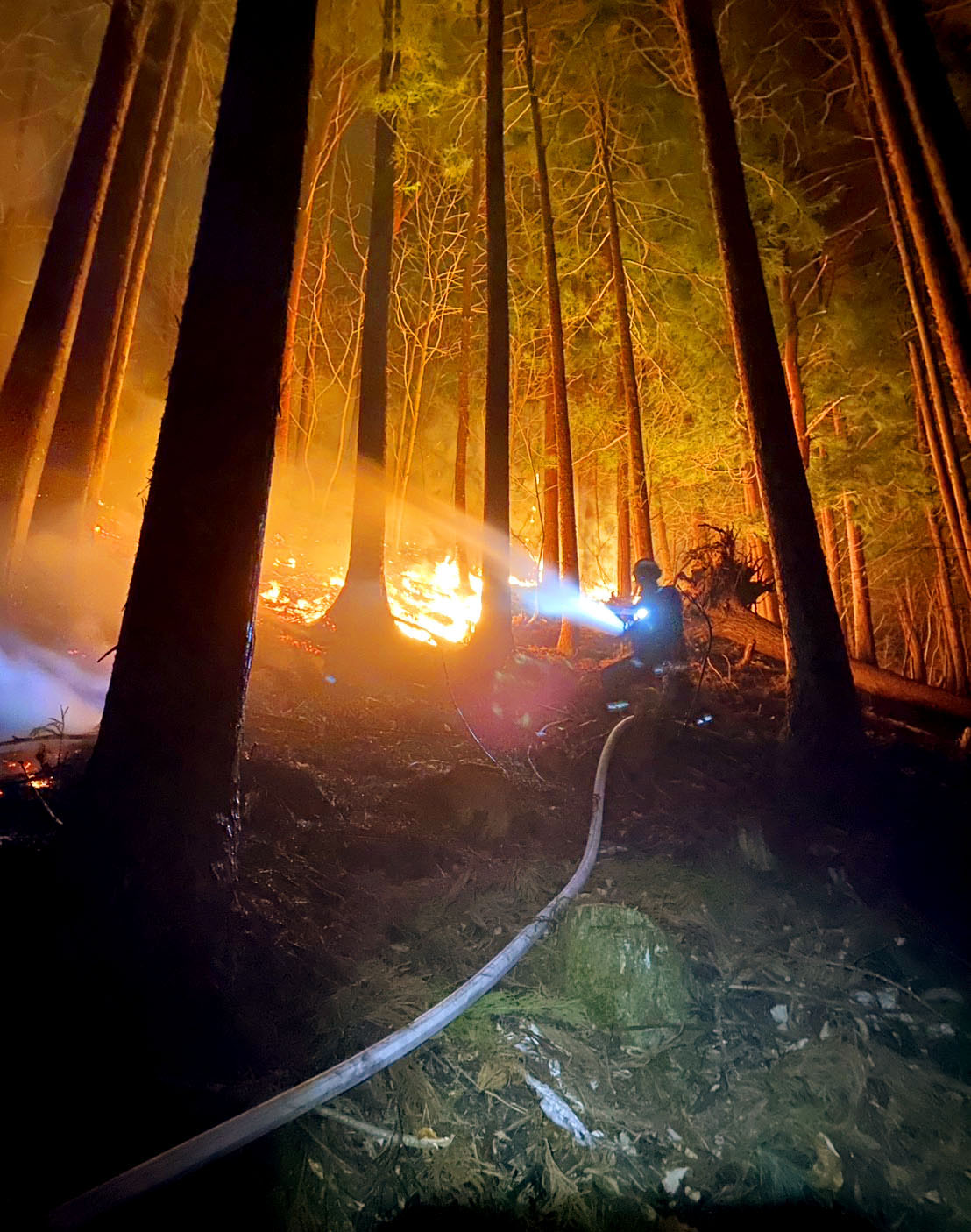 強風と乾燥で1400ヘクタール焼失 1000人以上が避難所生活 大船渡の山林