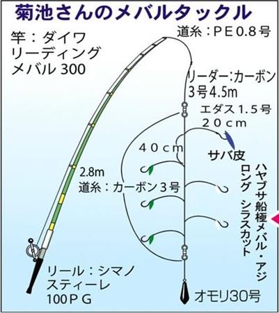 メバル３４匹 ２連３連 大連チャン 関西フィッシング 1 2ページ サンスポ