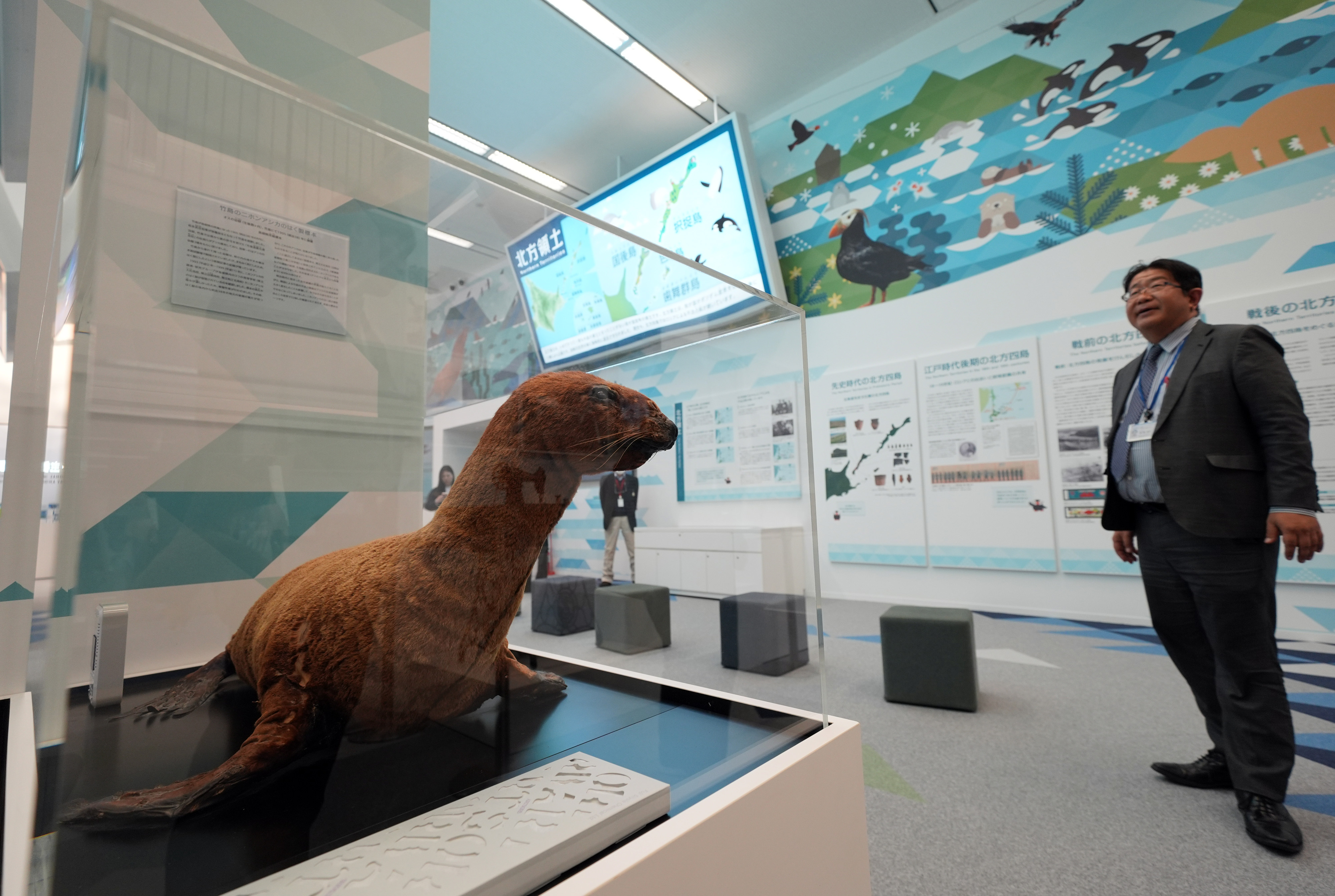 知事の許可制だった 日本領の根拠を補強『日本海・竹島のアシカ猟