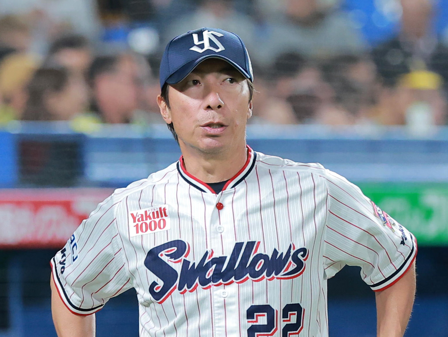 ヤクルトが2025年シーズンのコーチングスタッフを発表！吉岡雄二