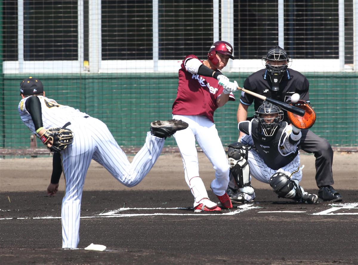 楽天イーグルス 辰己涼介 サインカード - www.radioprc.com.br