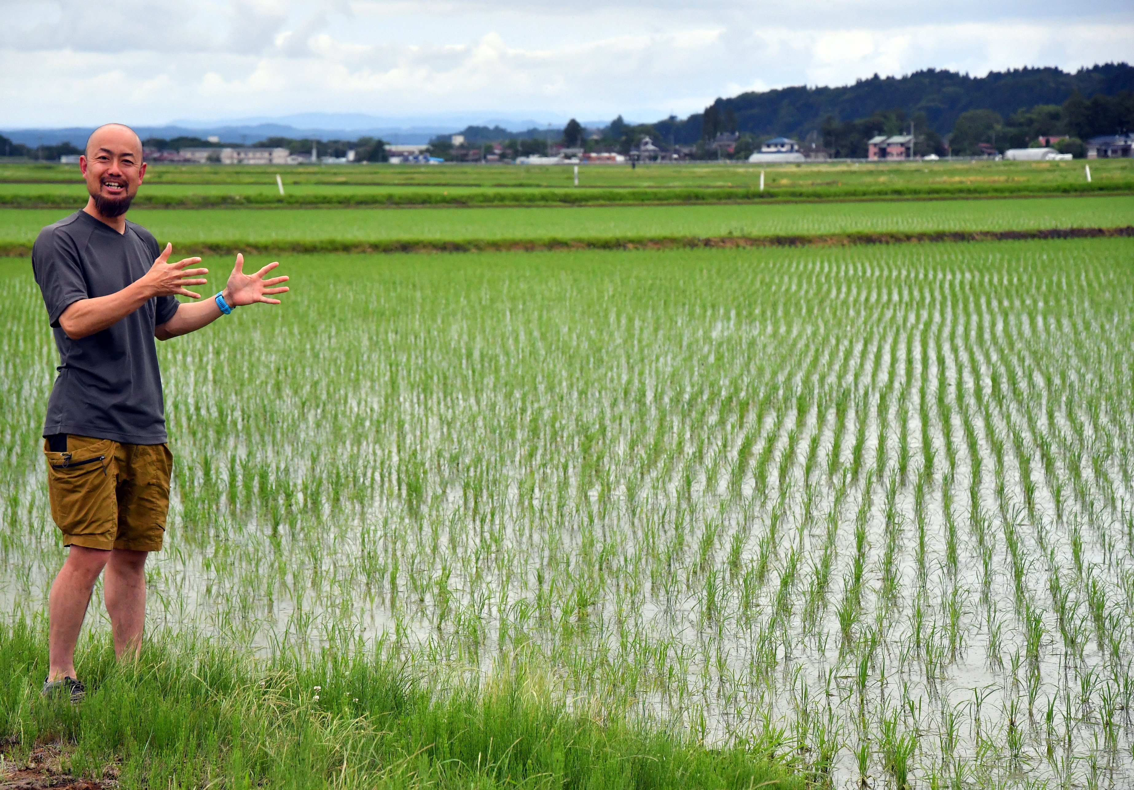 温室効果ガス排出削減 稲作の「中干し」に注目 - 産経ニュース