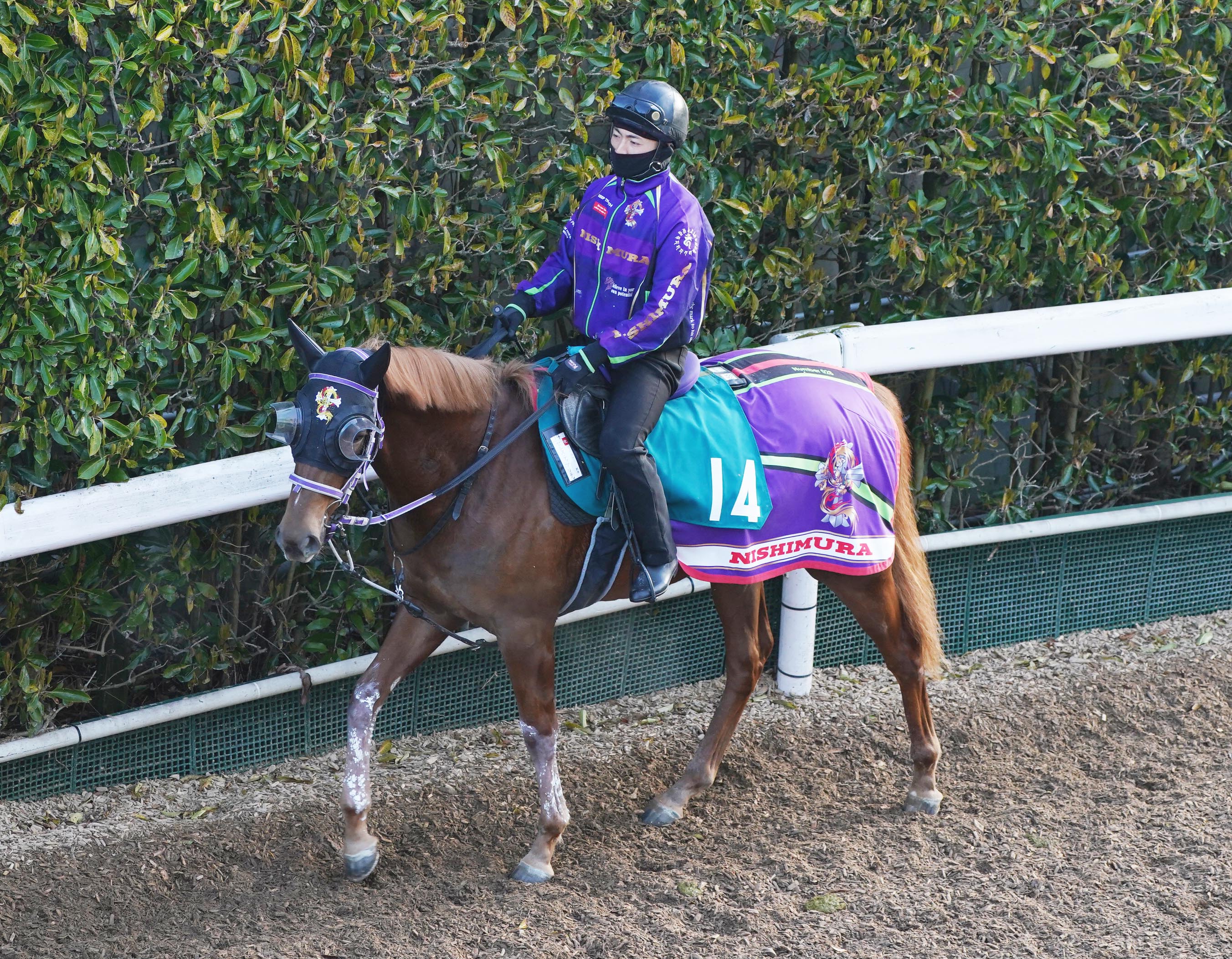 ドゥラメンテ皐月賞・日本ダービー現地馬券 桁違いの末脚で皐月賞を制したドゥラメンテが2冠制覇へ/日本