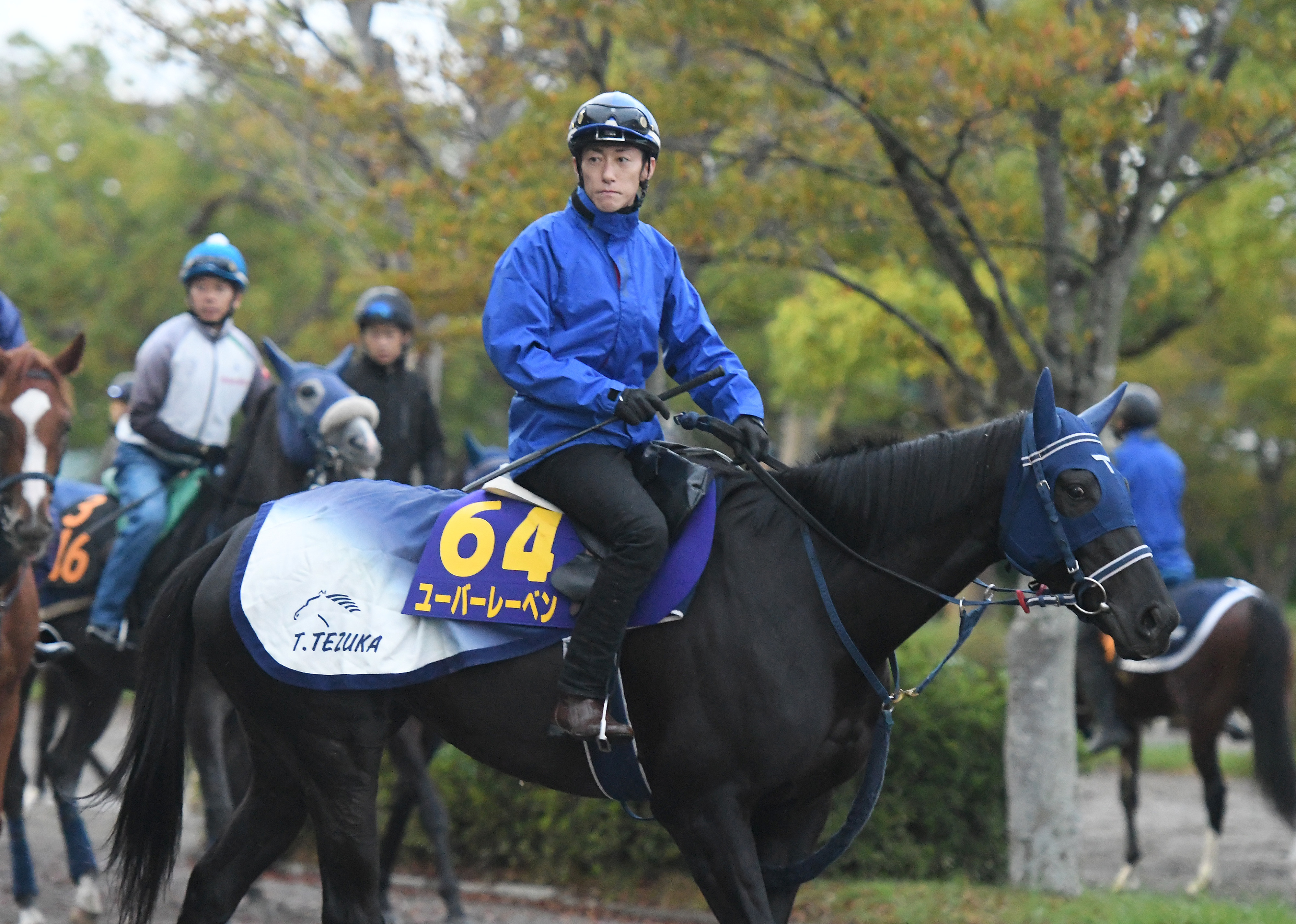 天皇賞 秋 ユーバーレーベン スリムになった馬体で動きもシャープに サンスポzbat