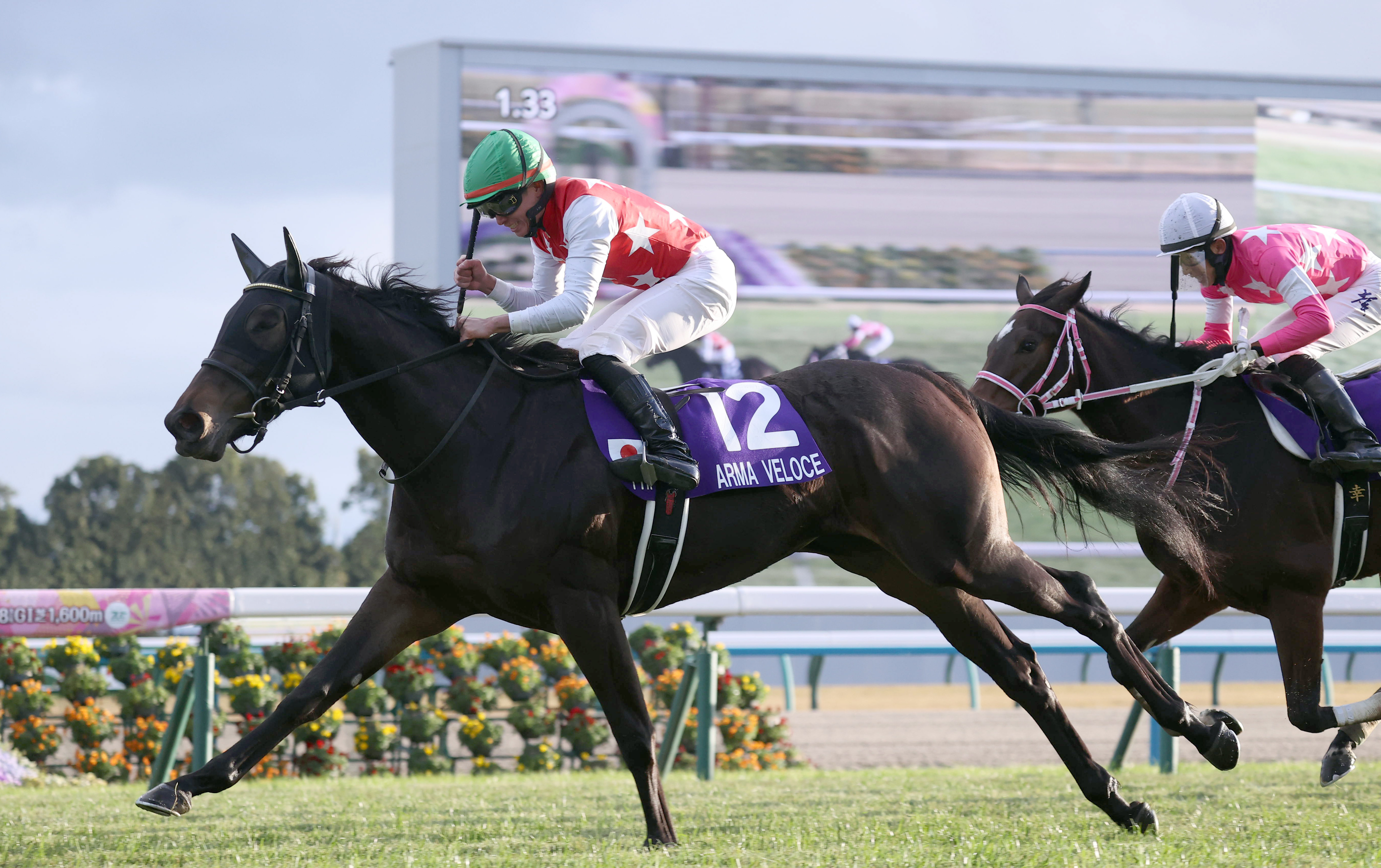 3歳次走報】阪神JF勝ちのアルマヴェローチェは桜花賞直行へ - サンスポ