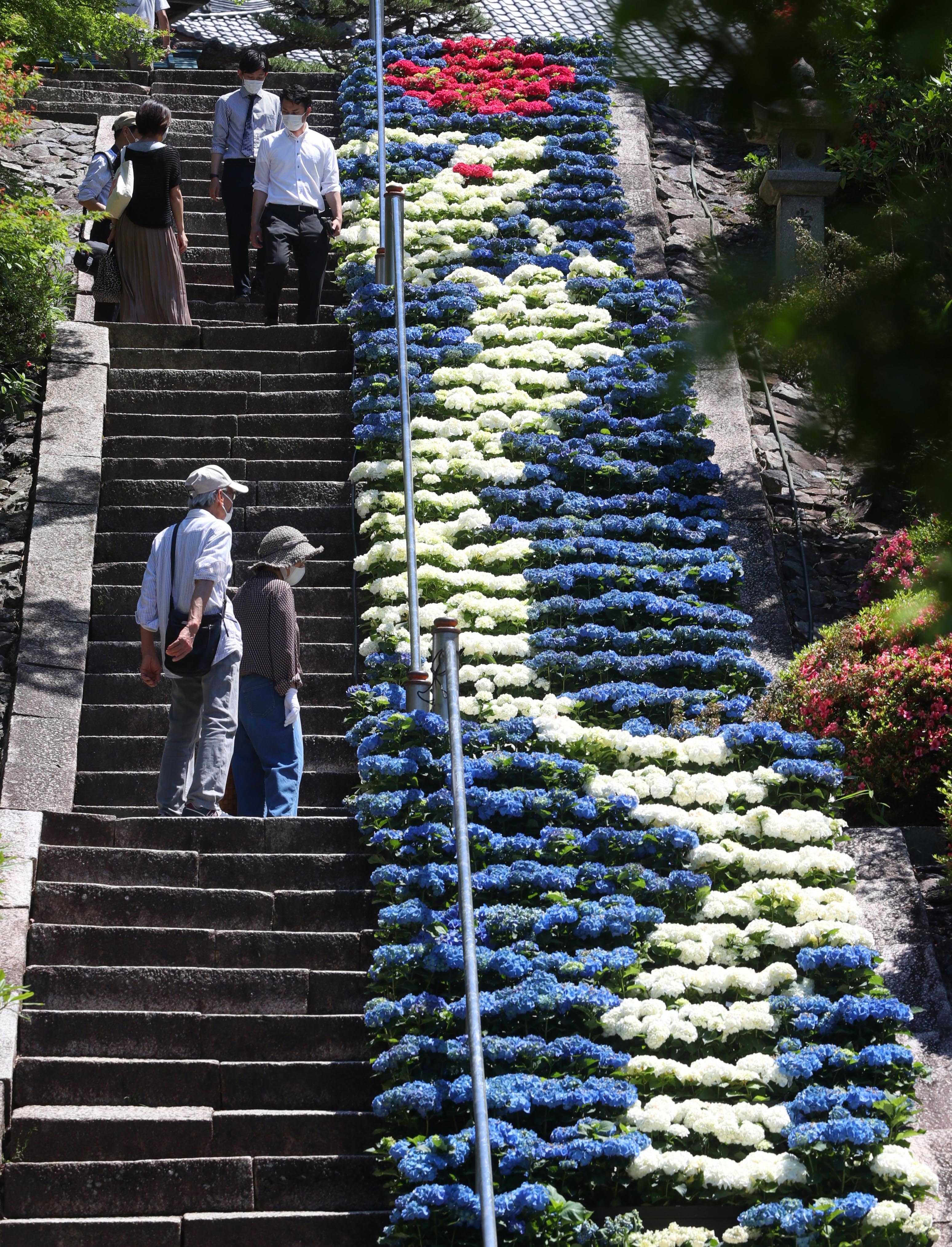 昇竜にコロナ収束の願い込め 京都 三室戸寺 産経ニュース