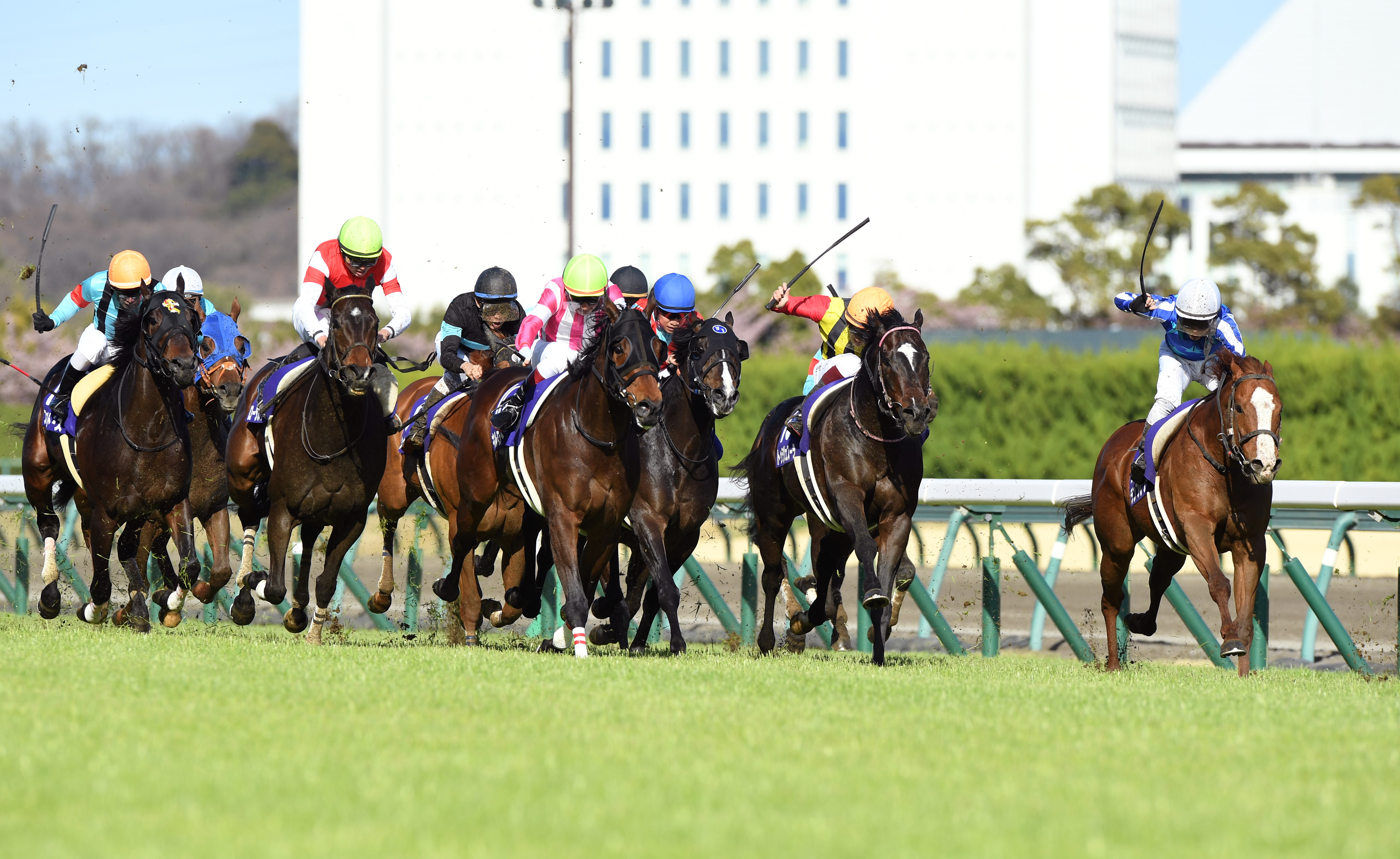 高松宮記念】3連単278万円超の大波乱！ナランフレグがゴール前の大