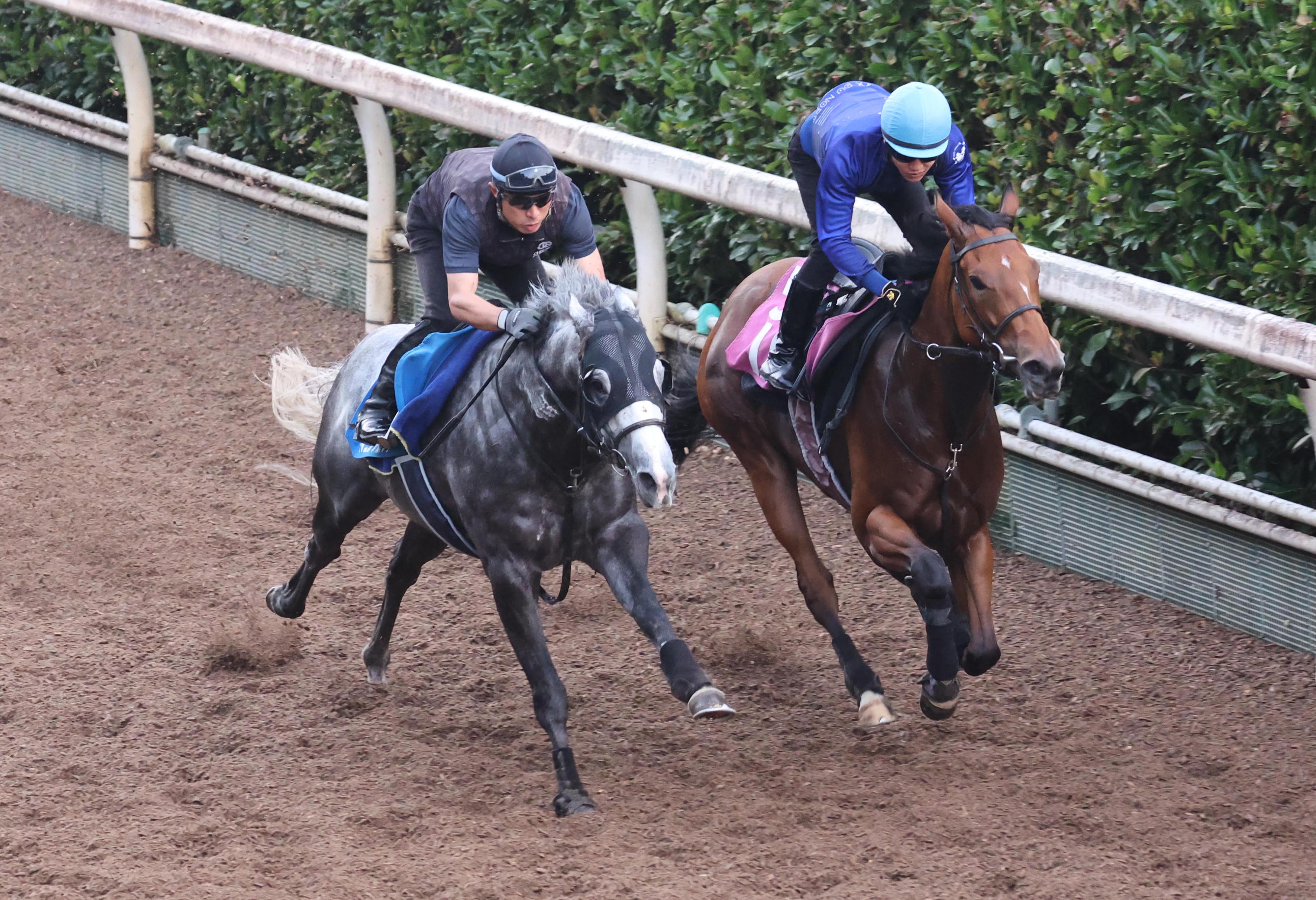 マッツ ジョナサン 馬 北九州記念 追い切り】連覇へムード上々！ ヤマニンアルリフラは坂路