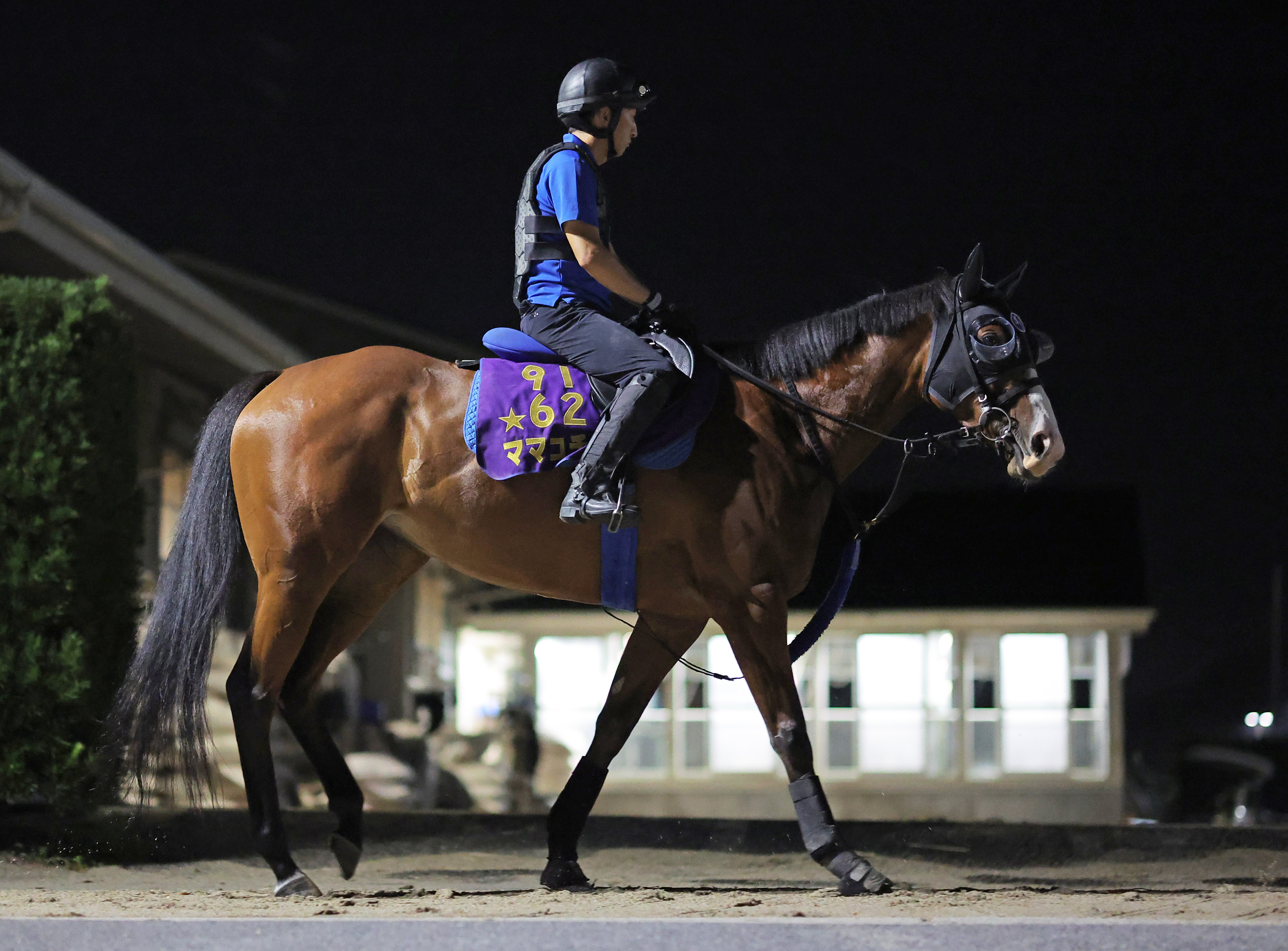 クロワデュノール　メイクデビュー〜日本ダービー 全５戦　現地購入記念馬券 ミュージアムマイルは④枠7番 クロワデュノール⑦枠13番 日本