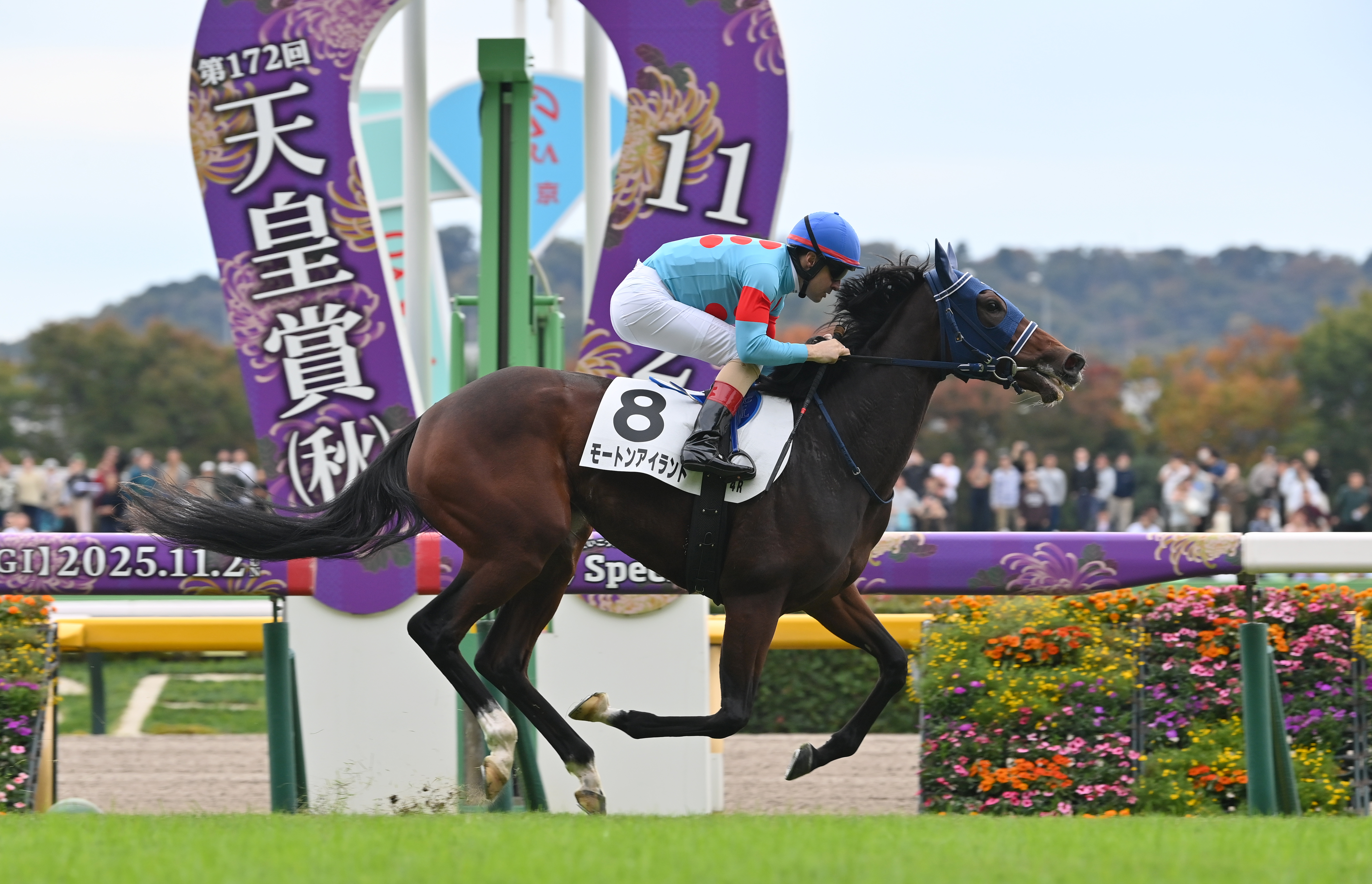 2歳新馬・東京4R】モートンアイランドが中団から抜け出し完勝！姉は重