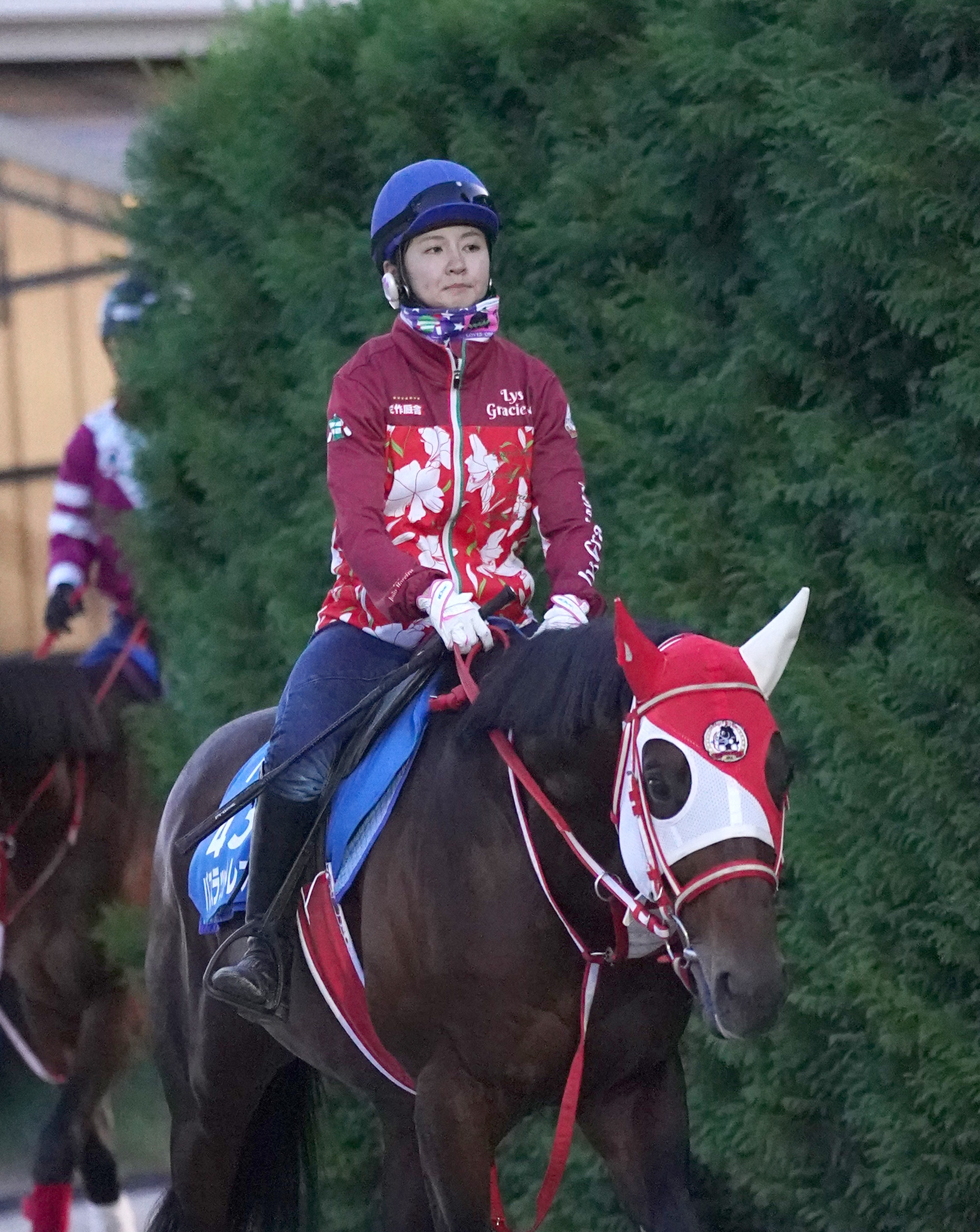 JBCスプリント】古川奈穂騎手、“思い出の馬”バスラットレオンでGⅠ級初騎乗「結果で恩返ししたい」 - サンスポZBAT!