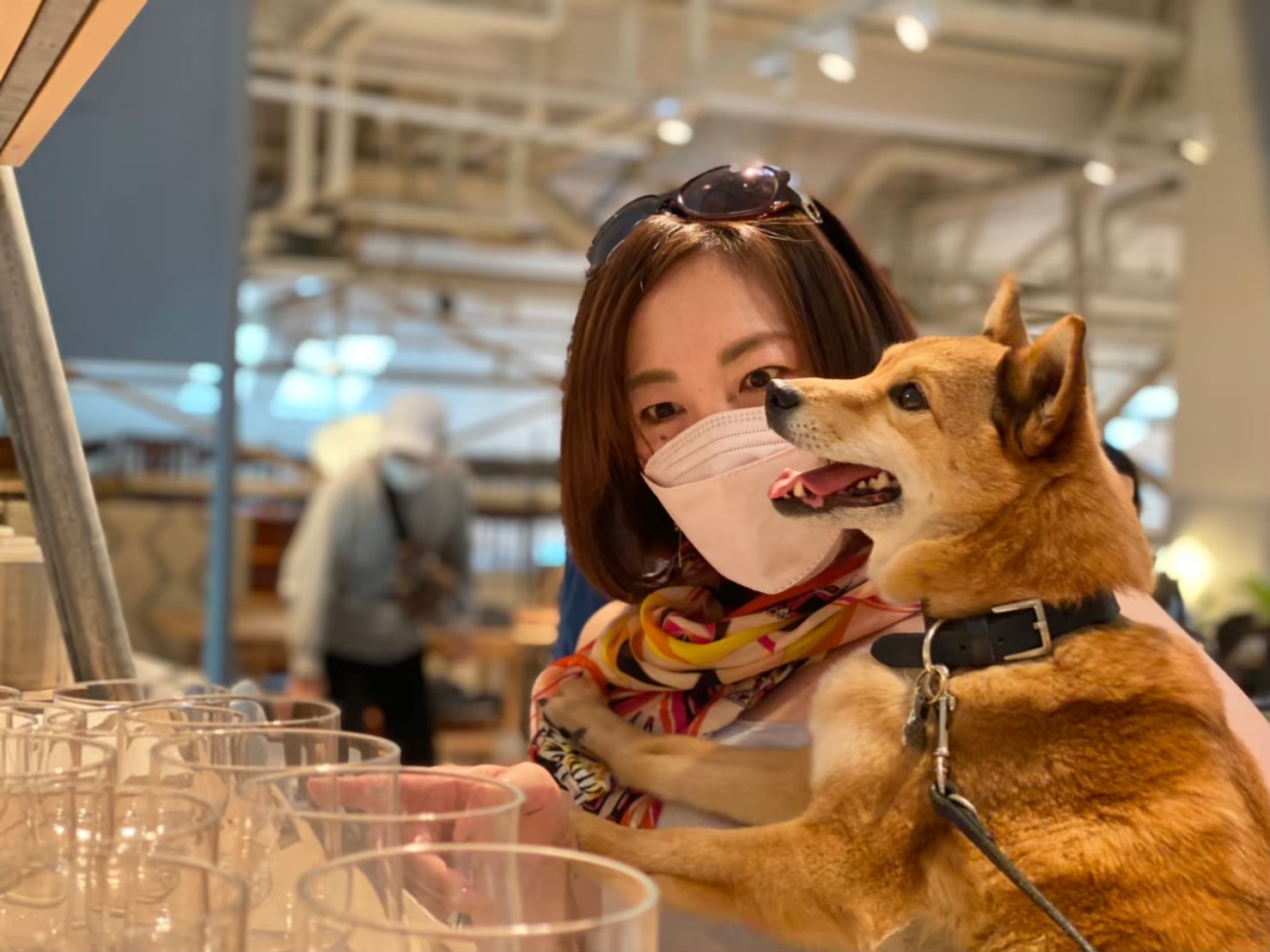 愛犬とのお出かけをオススメする、本当の理由 - イザ！