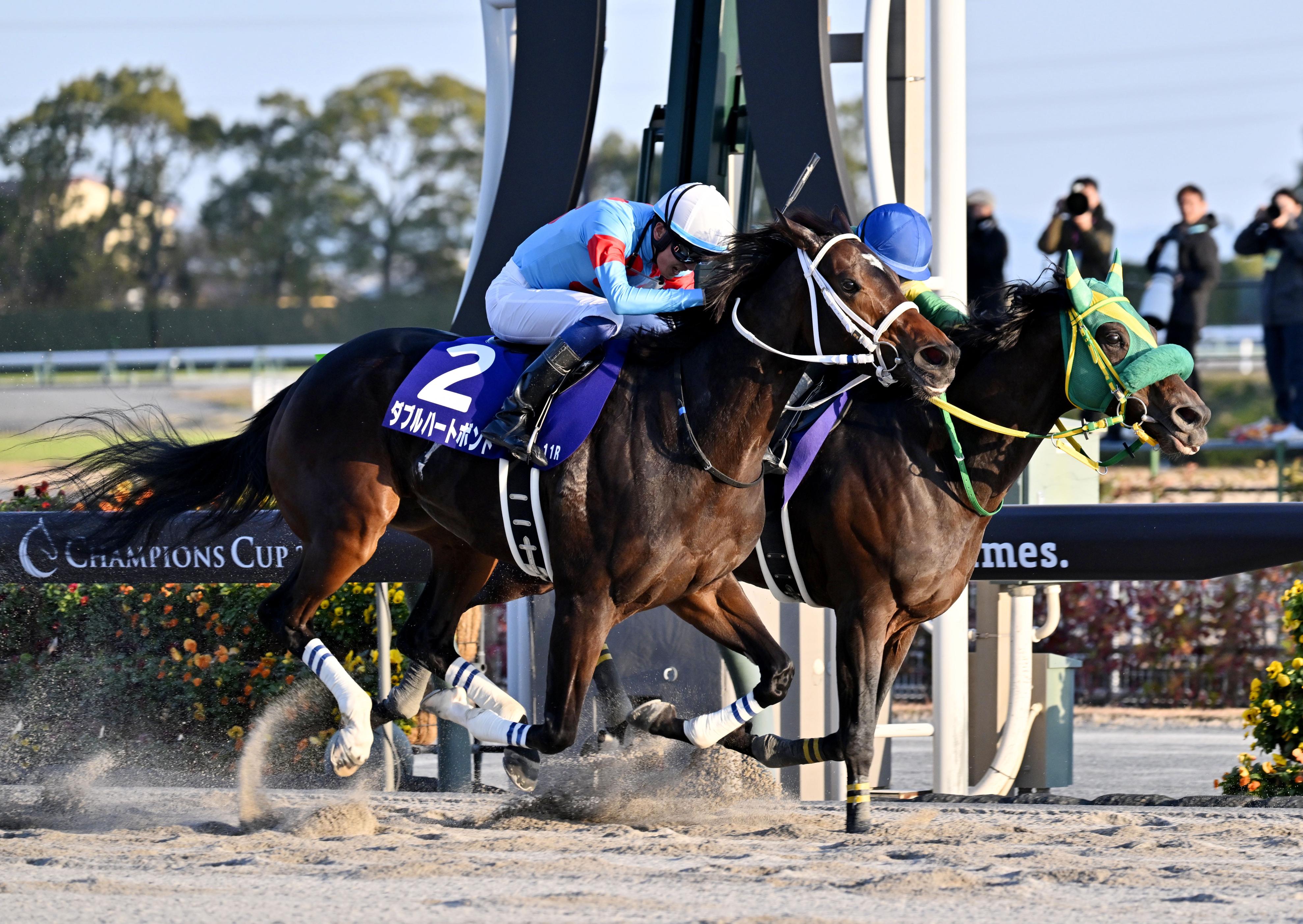 フェブラリーS】ダブルハートボンドが牝馬による初制覇を狙う