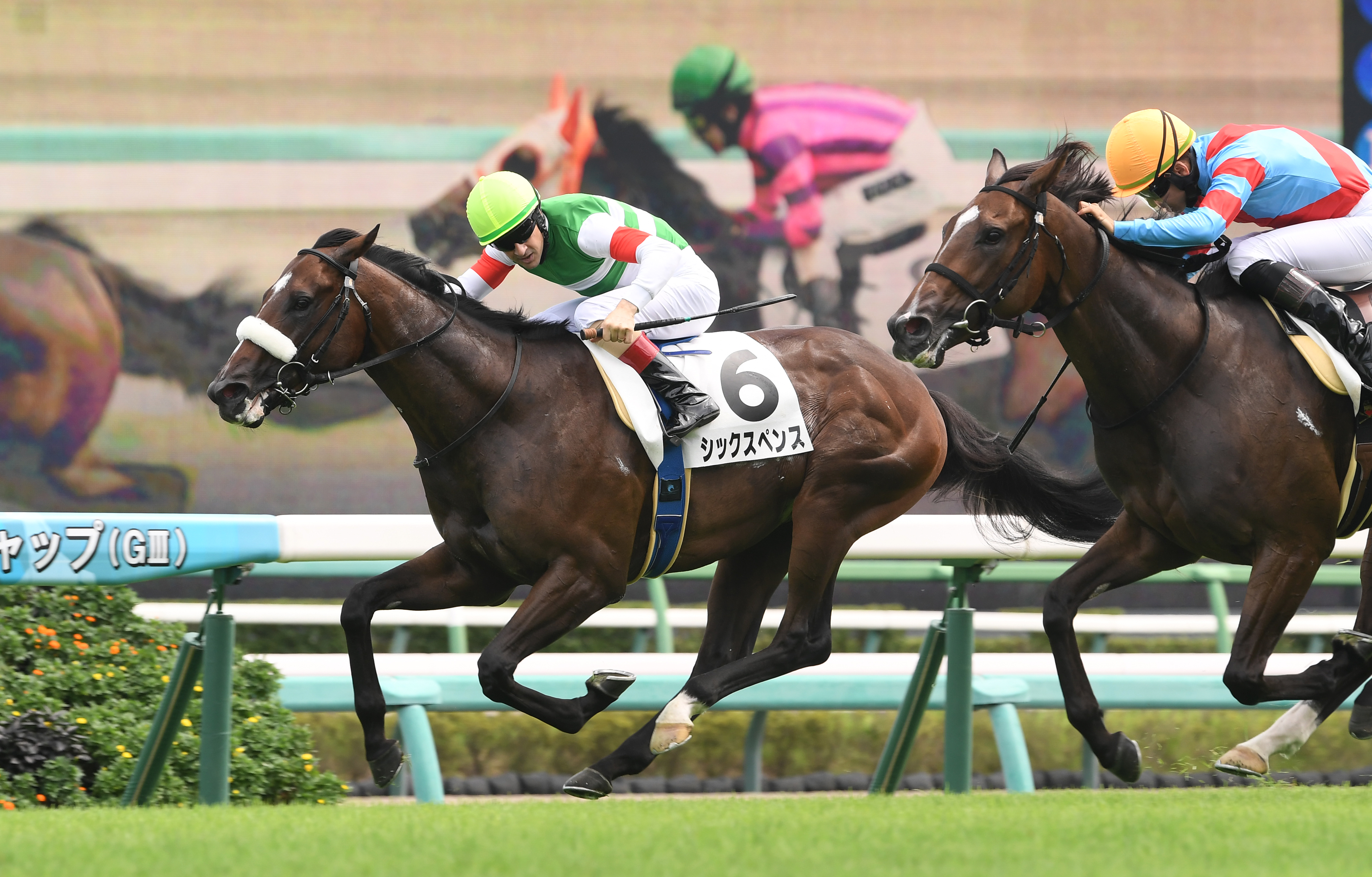 【西日本ダービー】ショウガタップリの底力が一枚上