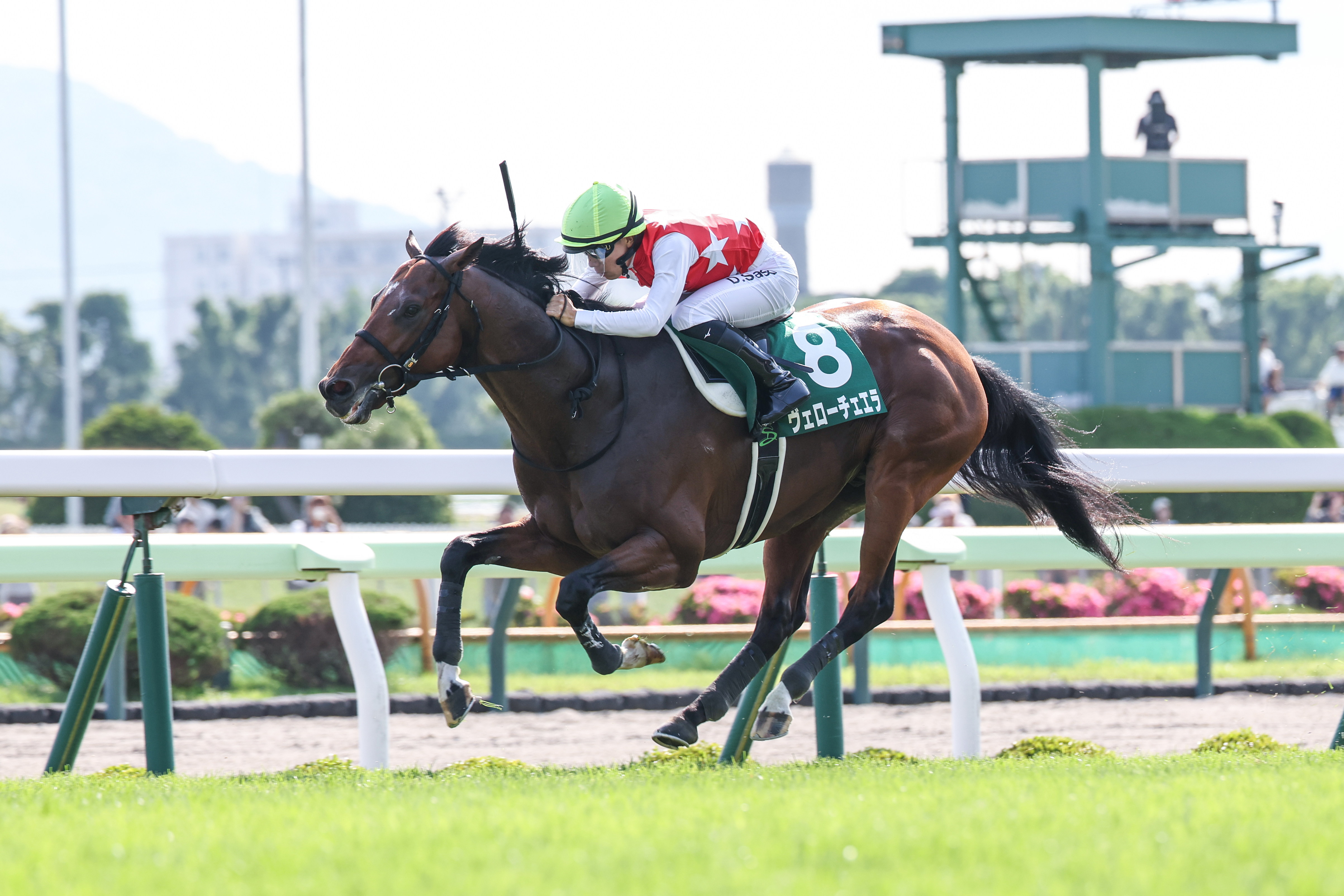 JRA 函館記念 重賞 コンプリート3点セット JRA 函館記念 重賞 コンプリート3点セット - メルカリ