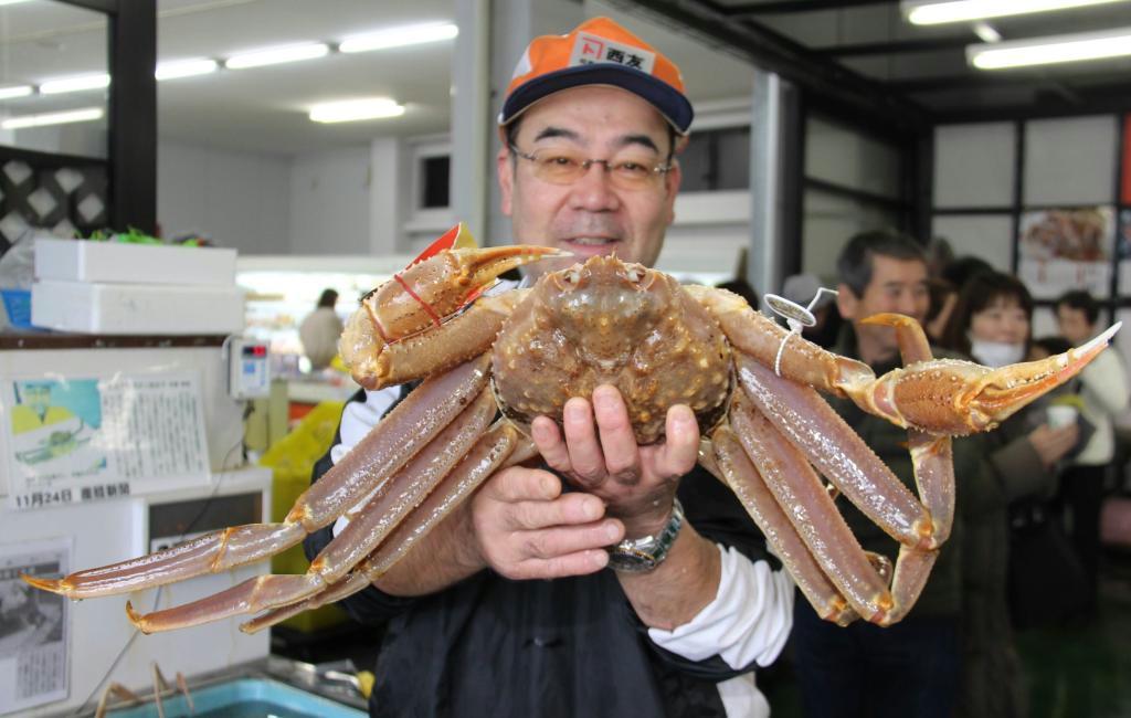極上】松葉ガニ 1.5kg超特大サイズ - 魚介