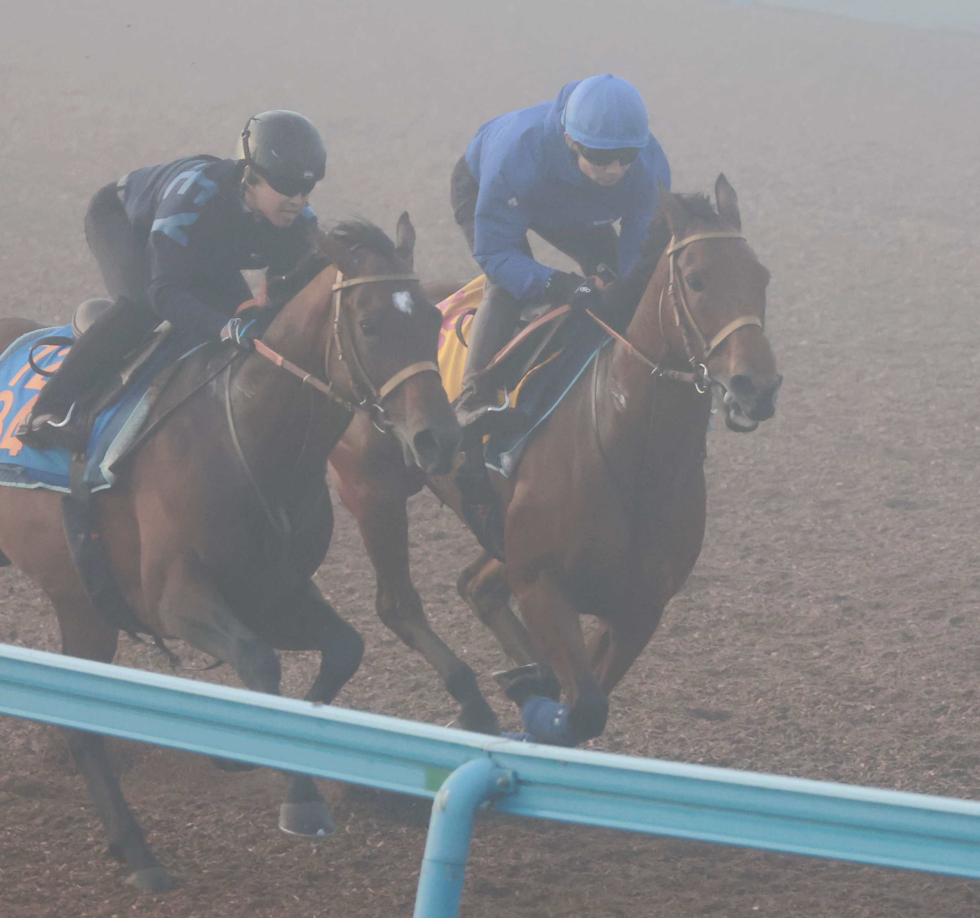 アイルランドT 1週前追い切り】カナテープはラスト11秒3 馬なりで2馬身