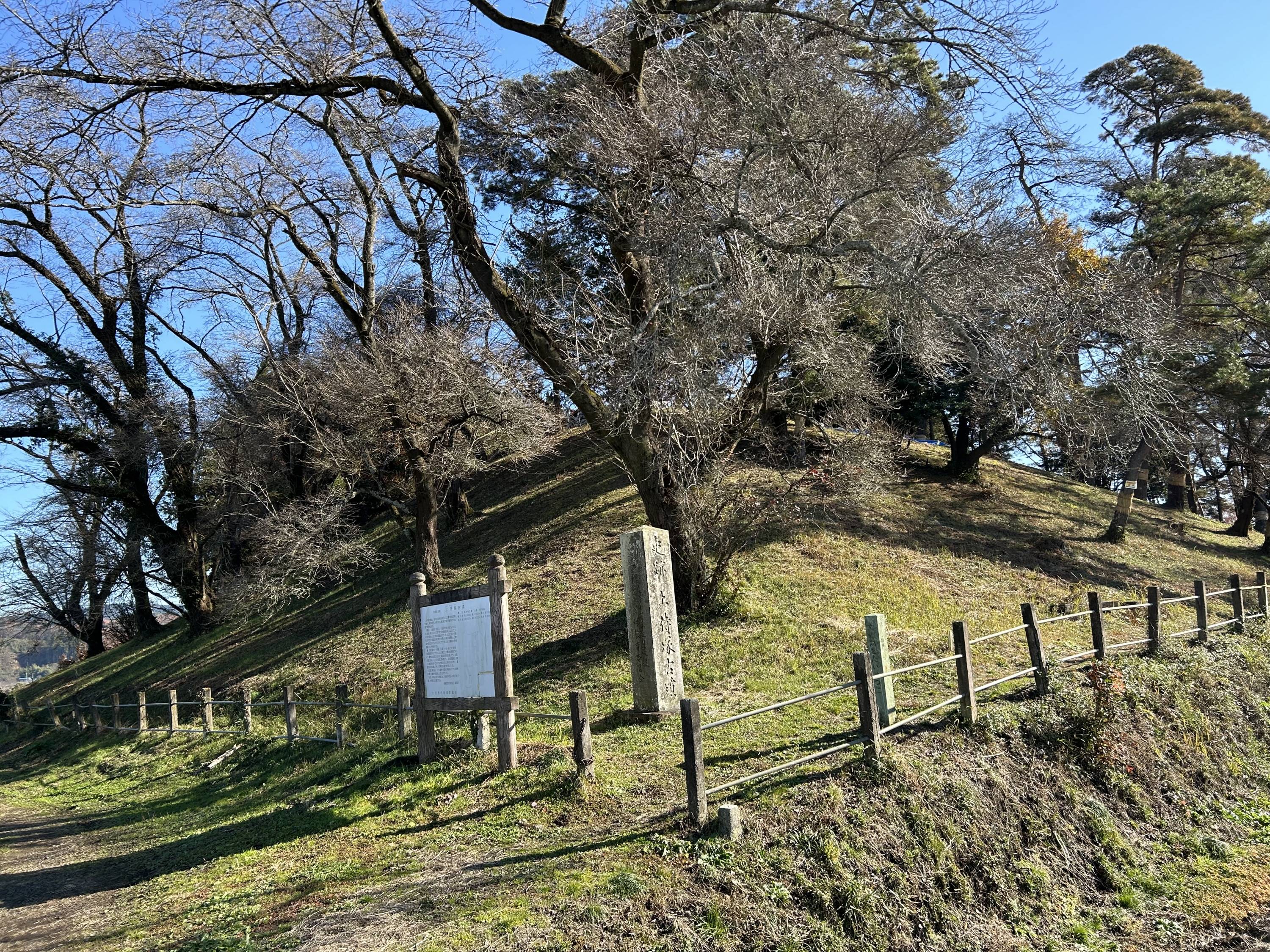 値下げ交渉OK！作家物 極上ちりめん地 絞り 辻が花 訪問着 正絹 