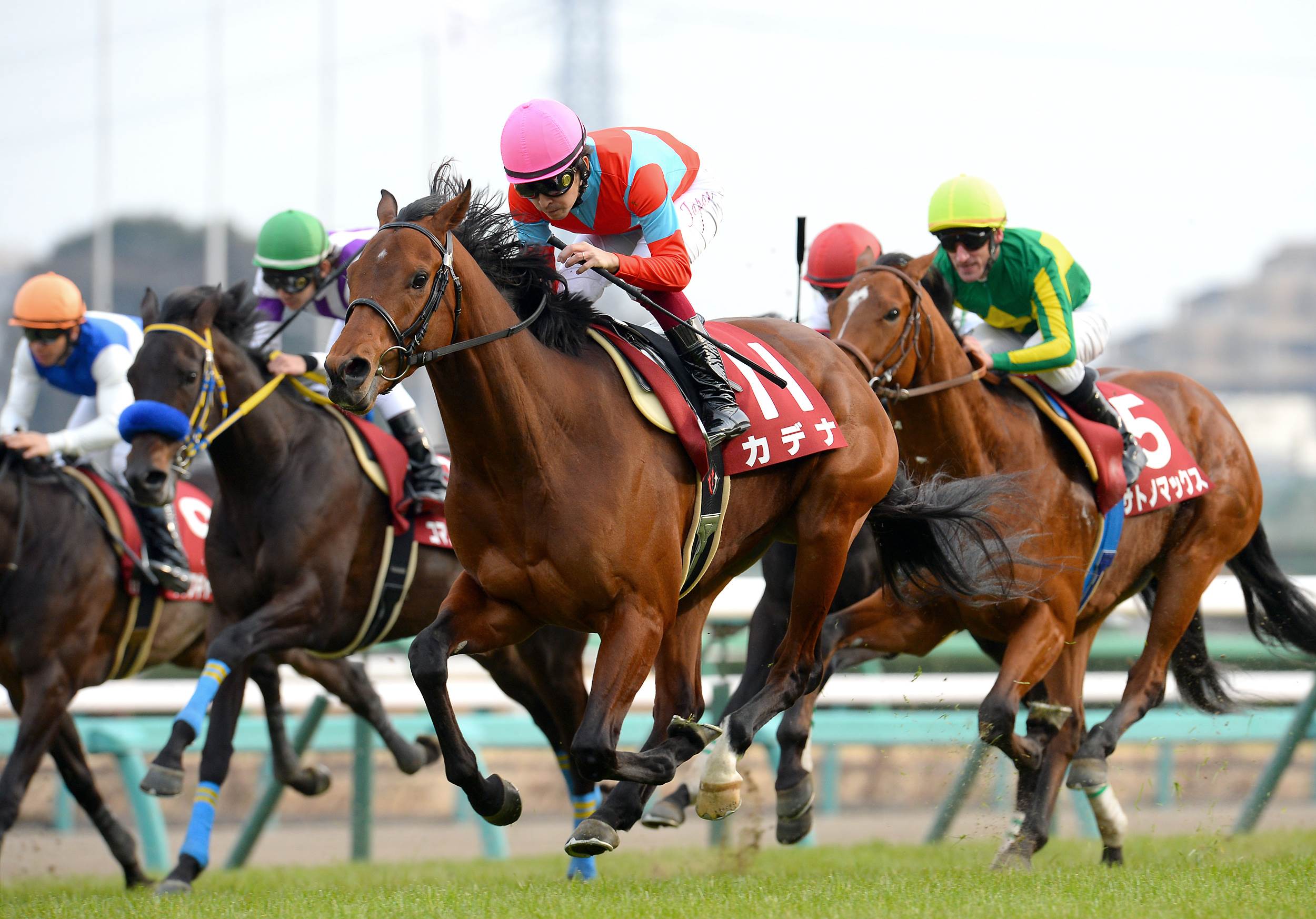 重賞３勝のカデナが引退 アロースタッドで種牡馬に サンスポzbat