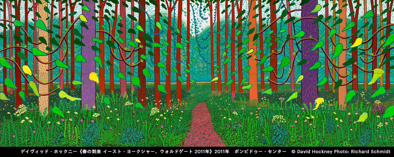 Hockney's Photographs 読売新聞社 ホックニー 超歓迎された ホックニーのカメラワーク Hockney's Photographs