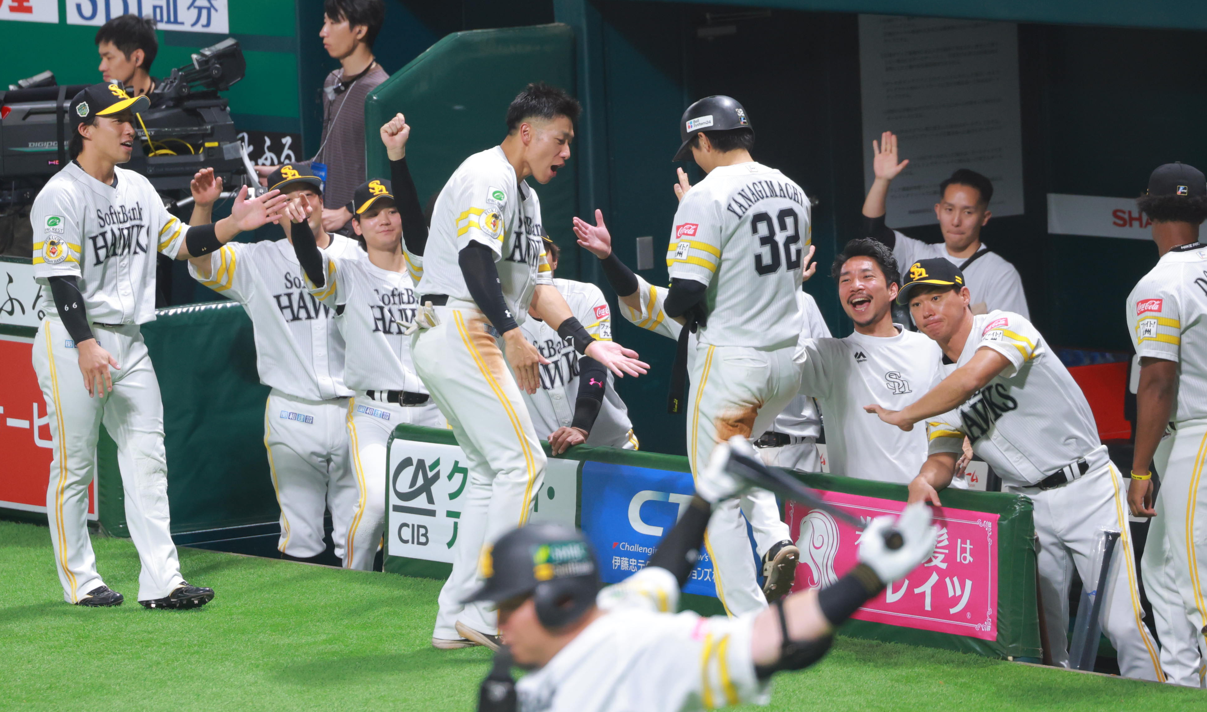 阪神 2点セット 限定50着】阪神タイガース×TENPLUS 