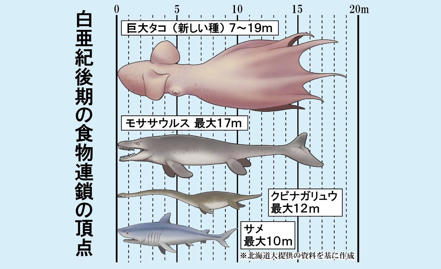 白亜紀後期の海では19メートルの巨大タコが食物連鎖の頂点に 化石をAI