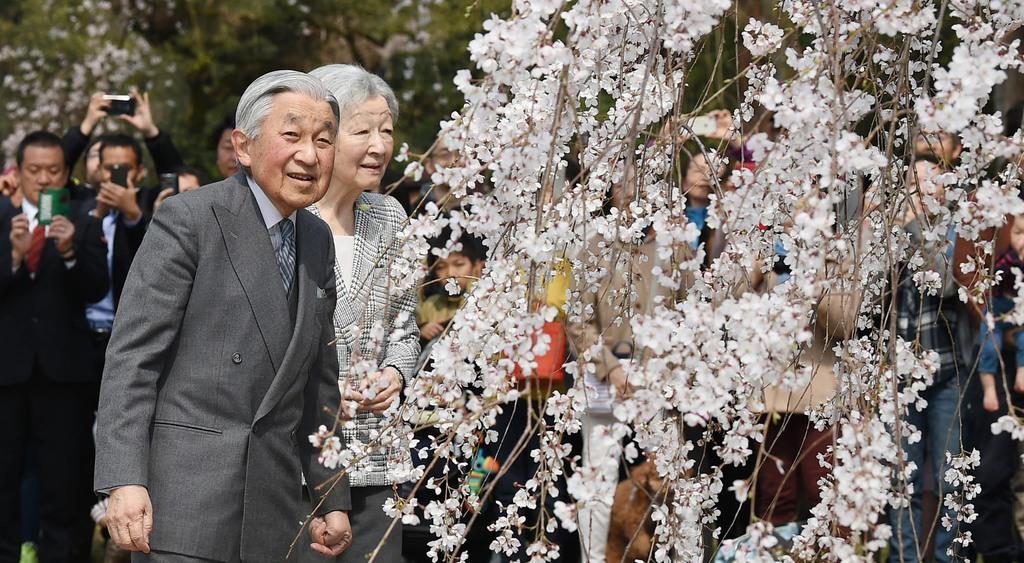 両陛下 京都御苑の桜をご観賞 産経ニュース